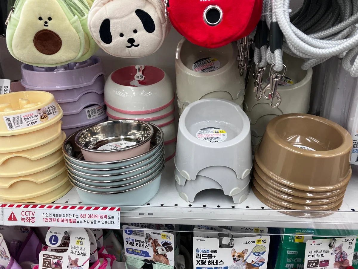 CD Hyeum OnlyFans exclusive photo 3 - hemmm817 premium content