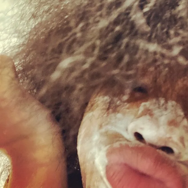 Alexis OnlyFans exclusive photo 1 - moreofalexis premium content