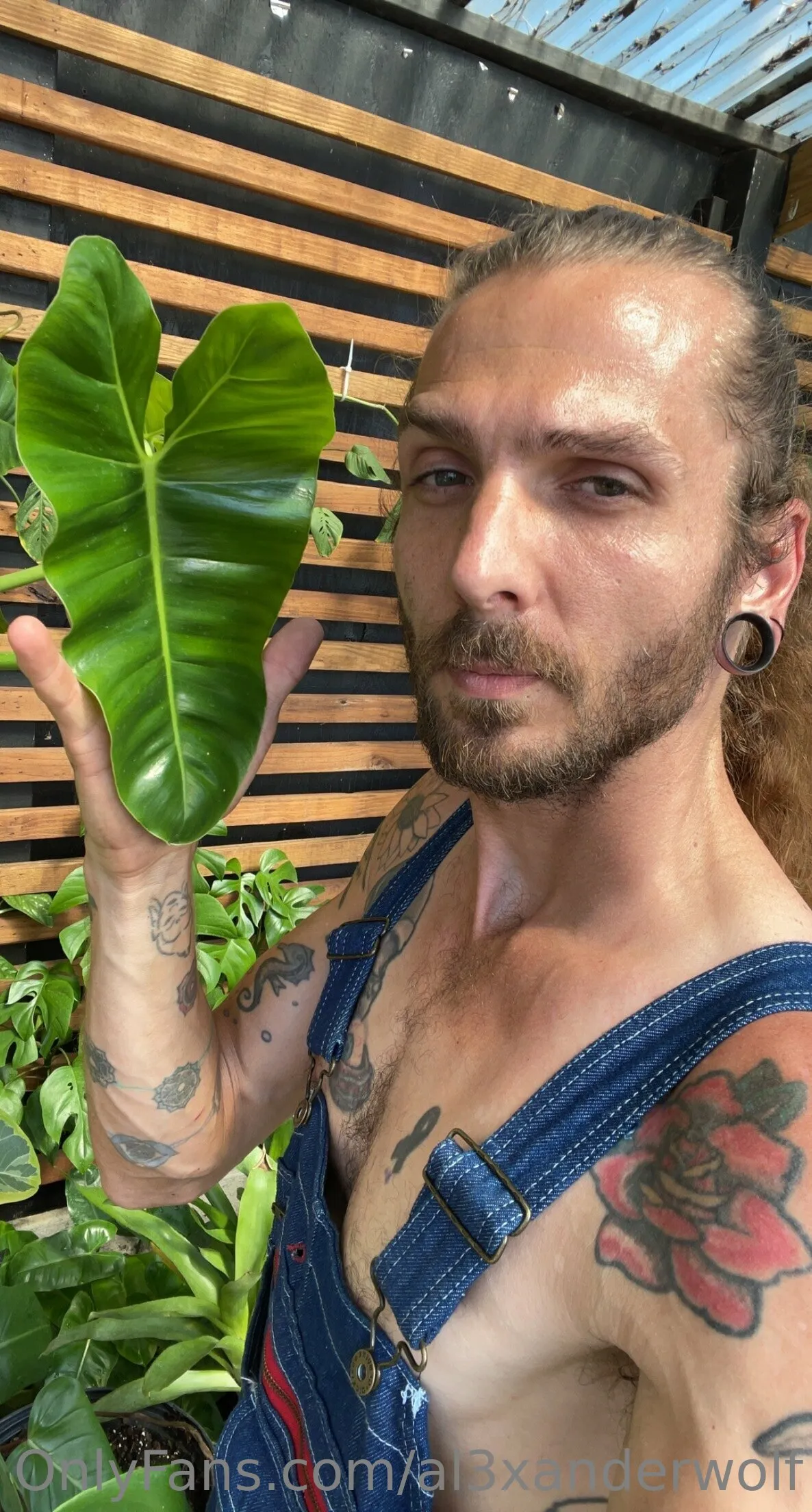 Alexander Wolf OnlyFans exclusive photo 8 - al3xanderwolf premium content