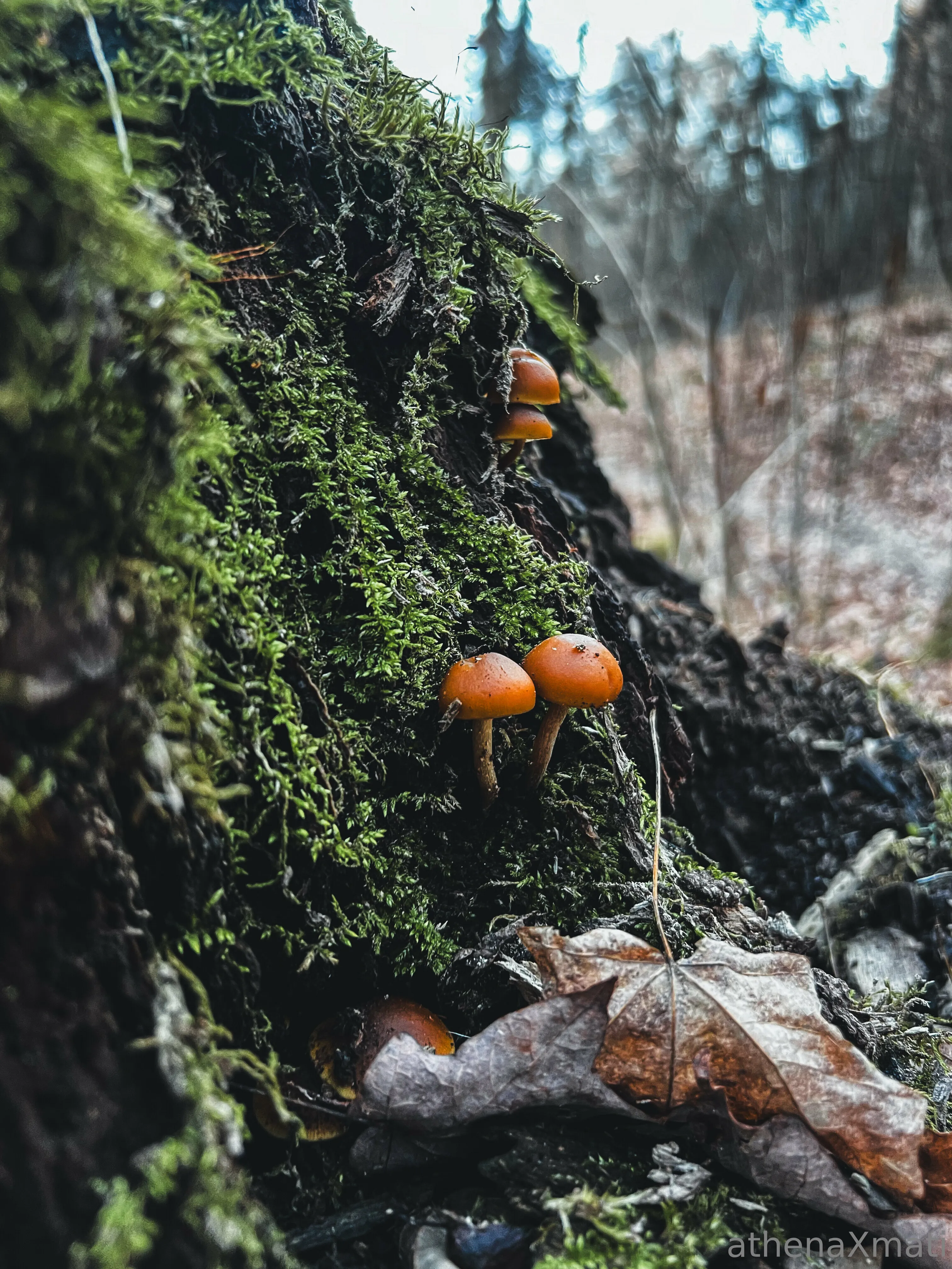 Athena Mati OnlyFans exclusive photo 8 - athenaxmati premium content