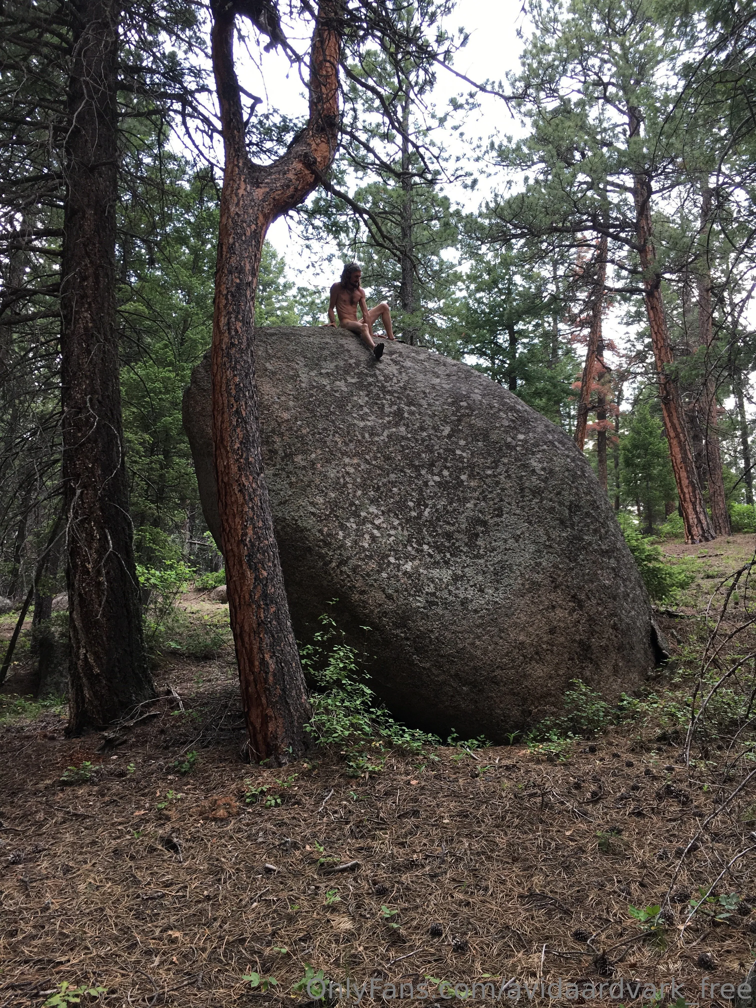 Chris Jones OnlyFans exclusive photo 16 - avidaardvark_free premium content