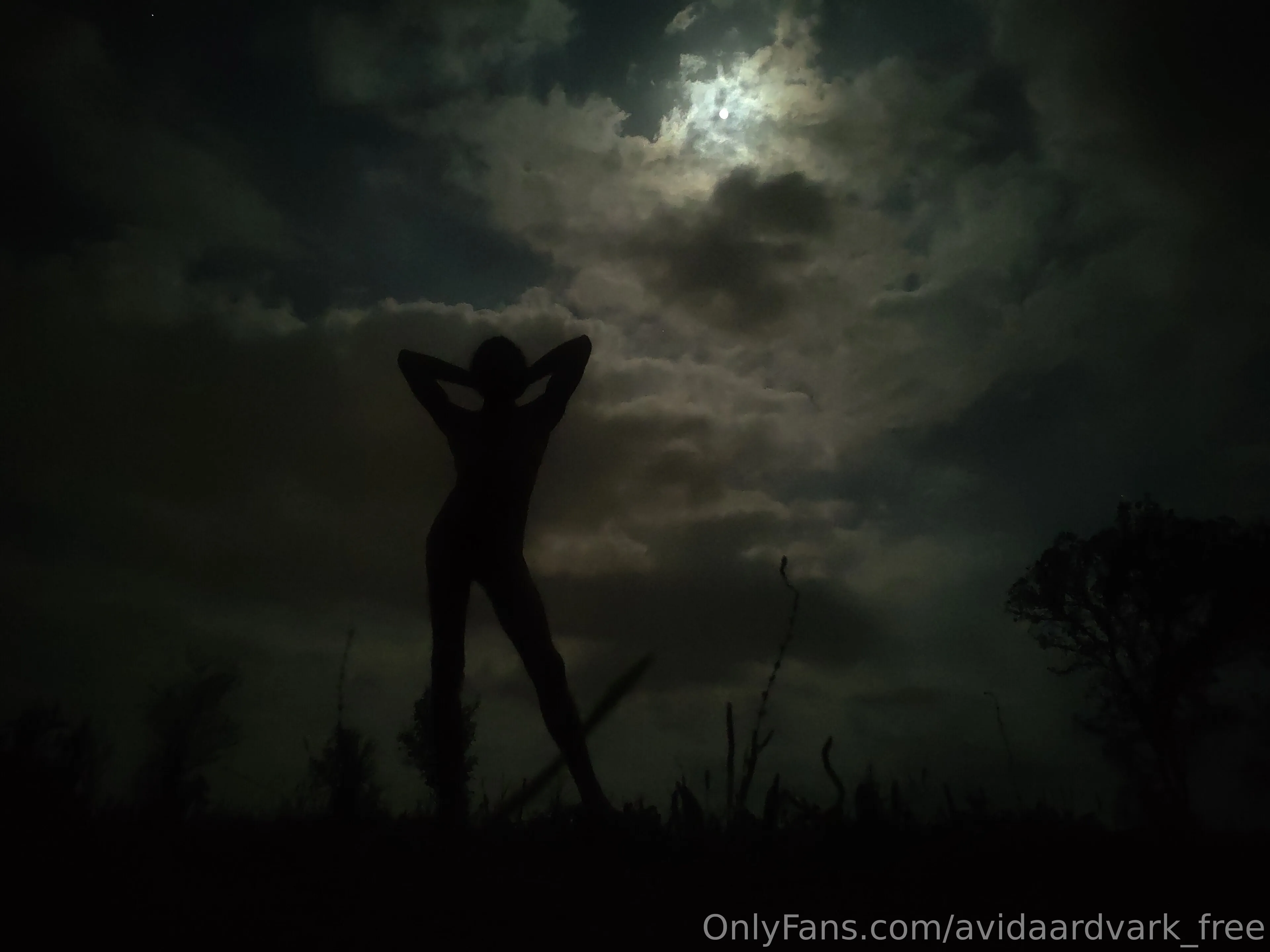 Chris Jones OnlyFans exclusive photo 6 - avidaardvark_free premium content