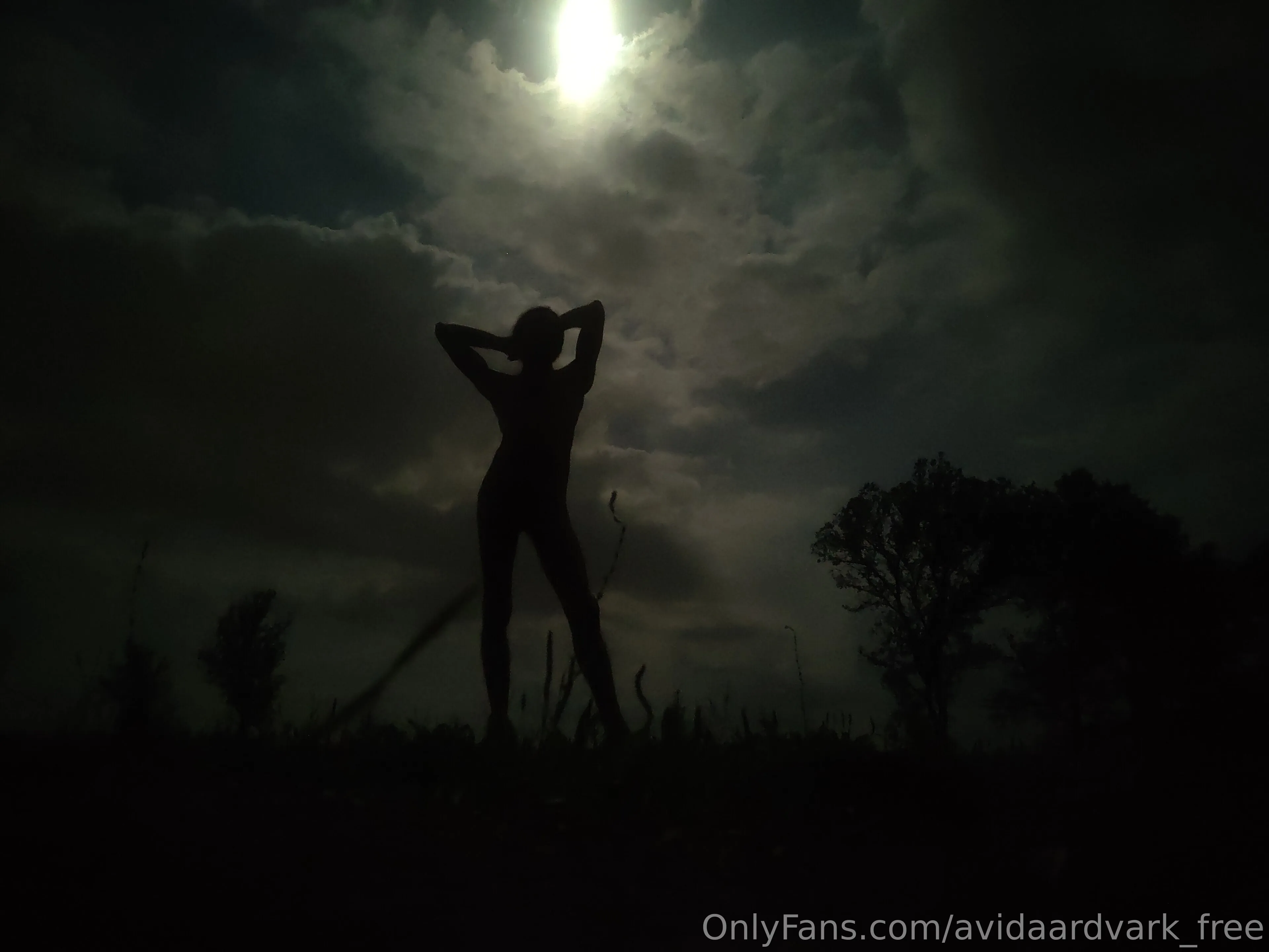 Chris Jones OnlyFans exclusive photo 5 - avidaardvark_free premium content