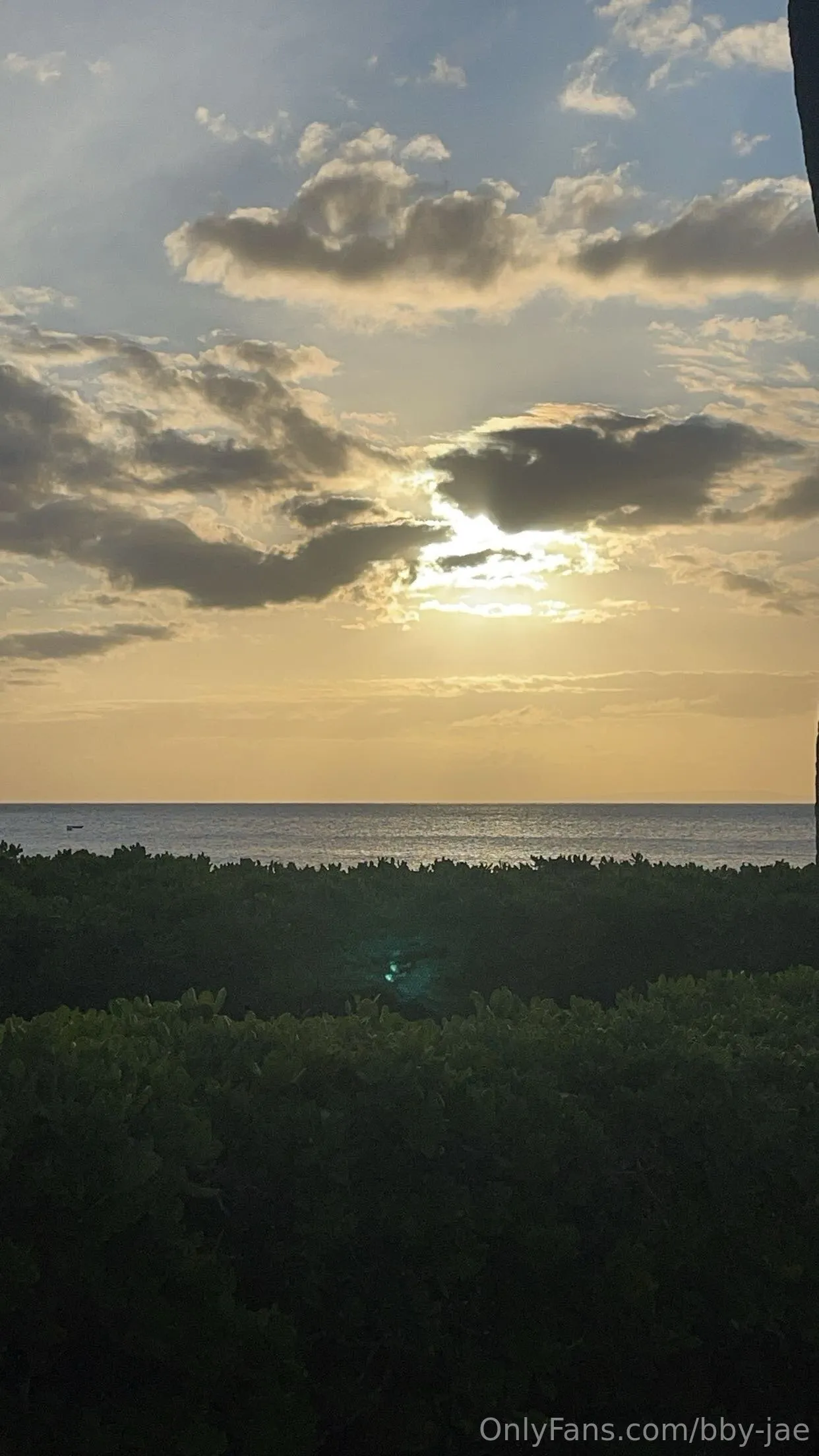 Jae OnlyFans exclusive photo 14 - bby-jae premium content