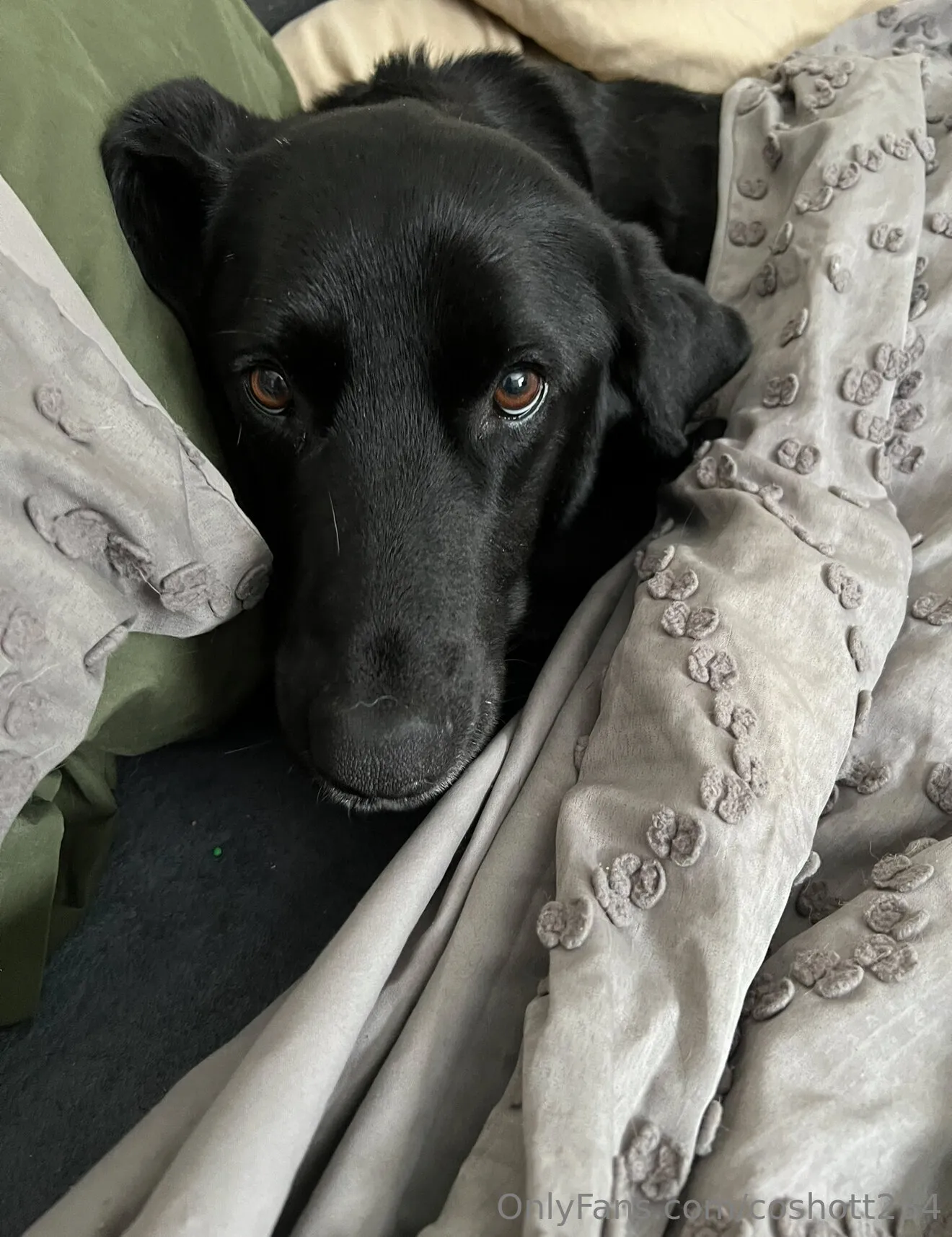 Ally OnlyFans exclusive photo 14 - coshott234 premium content