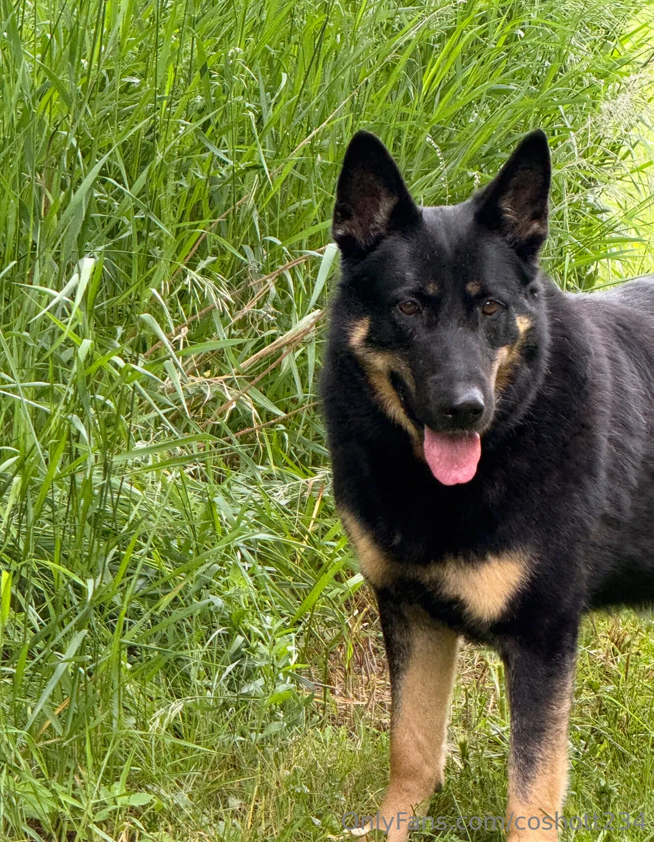 Ally OnlyFans exclusive photo 13 - coshott234 premium content