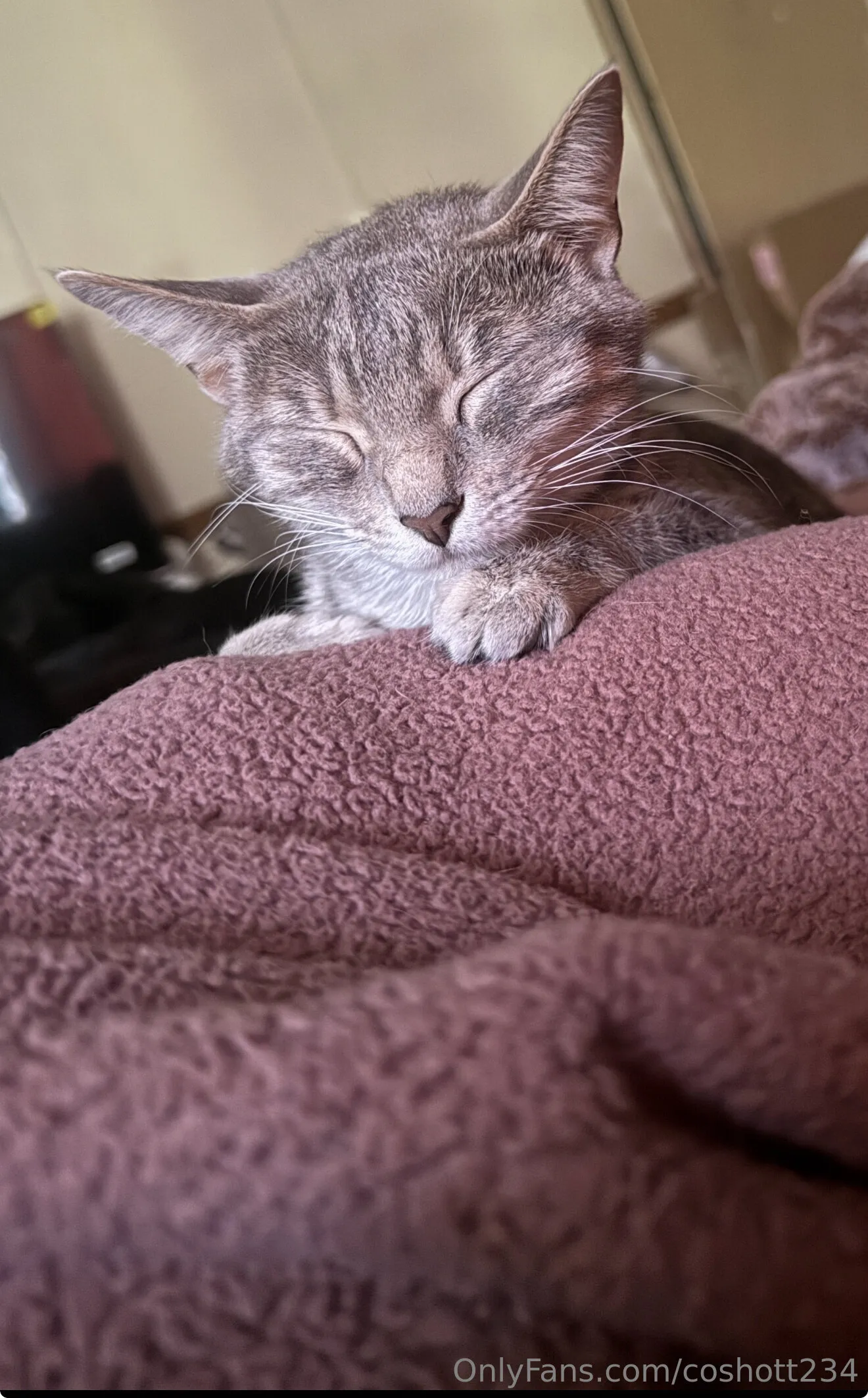 Ally OnlyFans exclusive photo 11 - coshott234 premium content