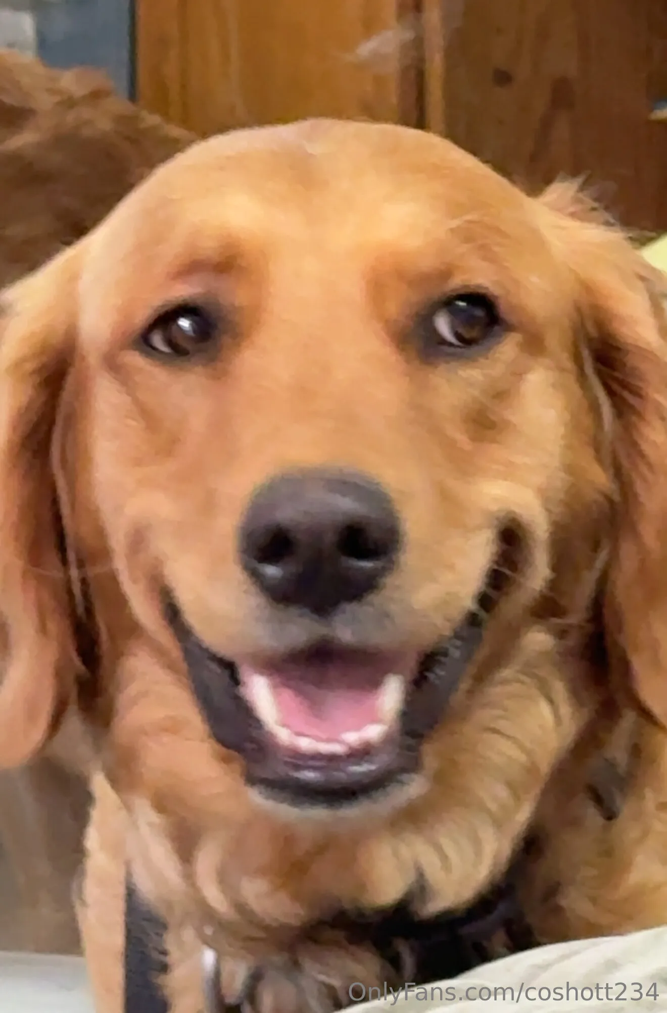 Ally OnlyFans exclusive photo 10 - coshott234 premium content