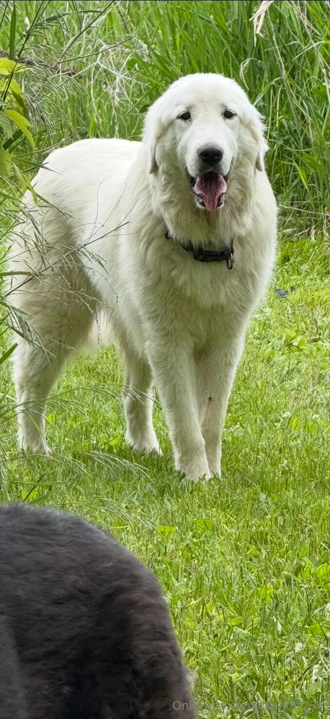 Ally OnlyFans exclusive photo 2 - coshott234 premium content