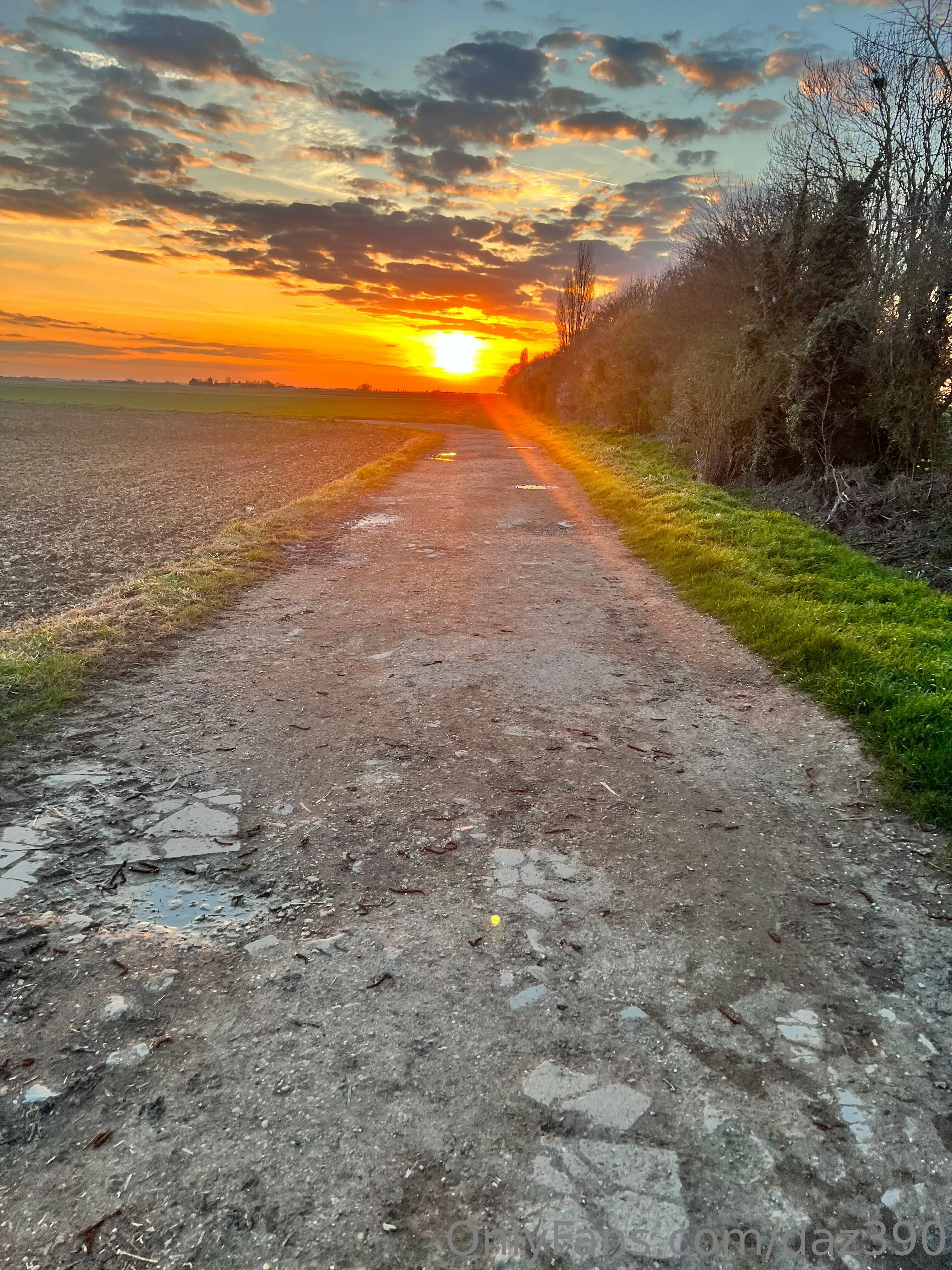 Da OnlyFans exclusive photo 4 - daz390 premium content