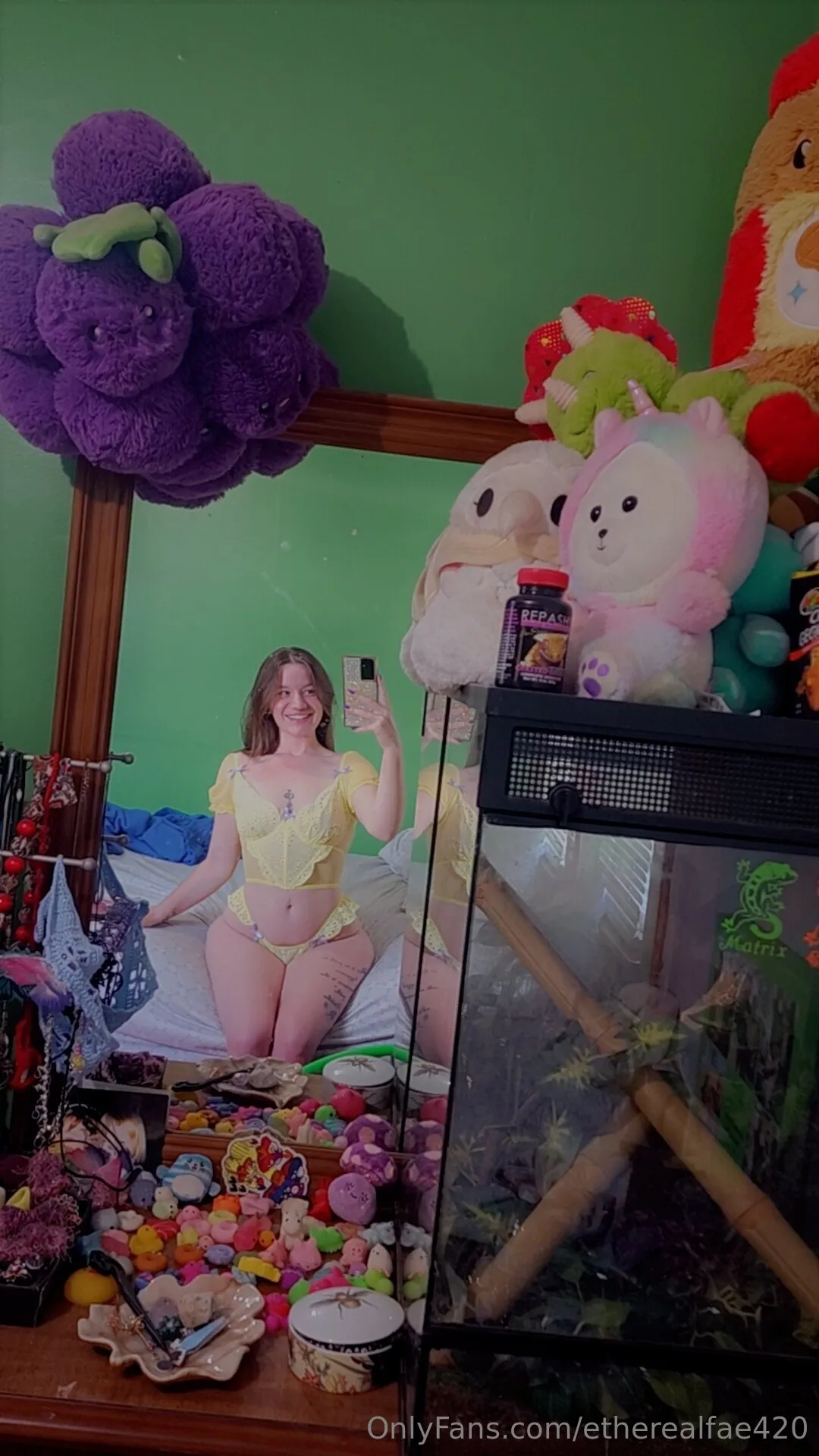 🌿🍄🌻💋 OnlyFans exclusive photo 11 - etherealfae420 premium content