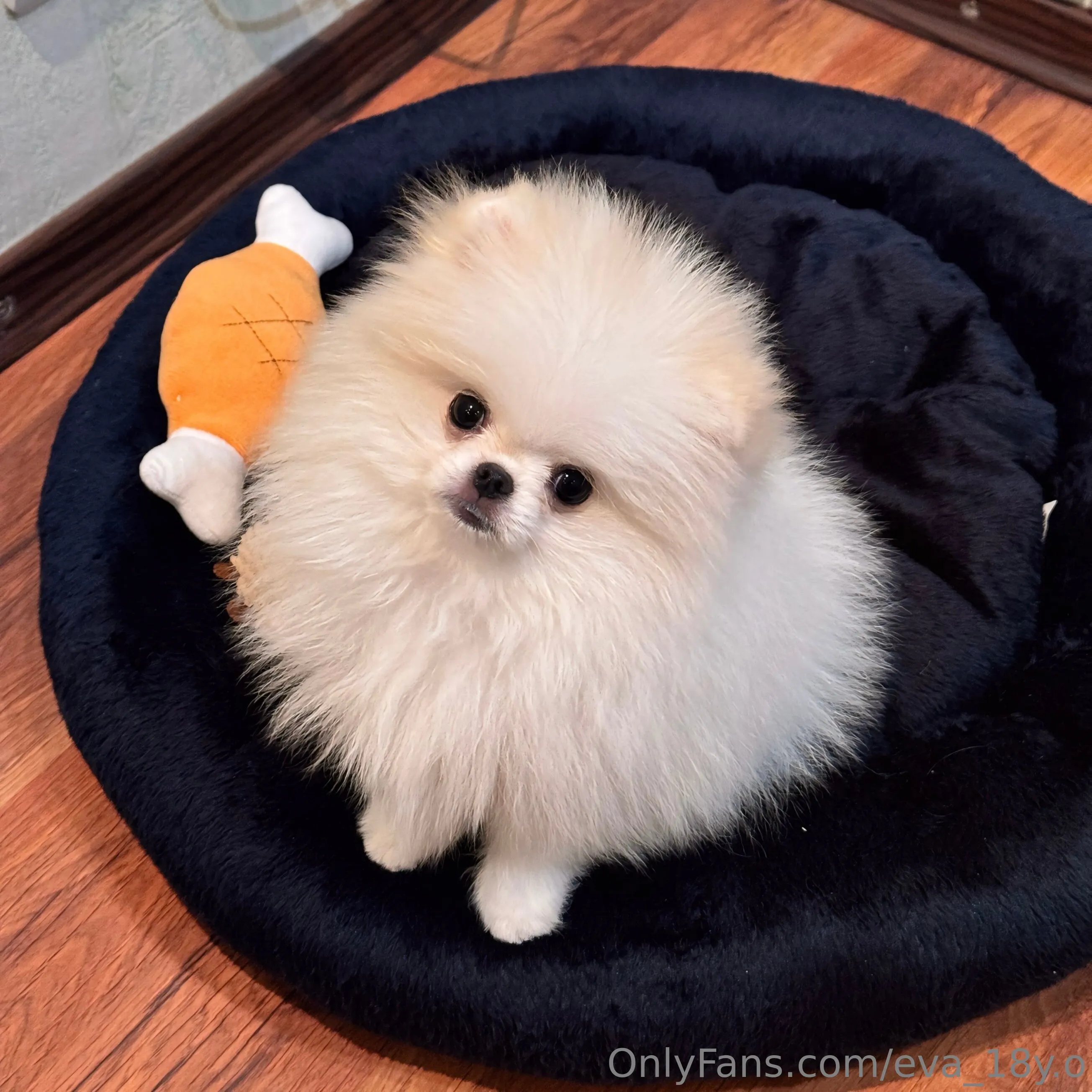 𝙀𝙫𝙖💕 19 y.o💕 OnlyFans exclusive photo 14 - eva_19y.o premium content