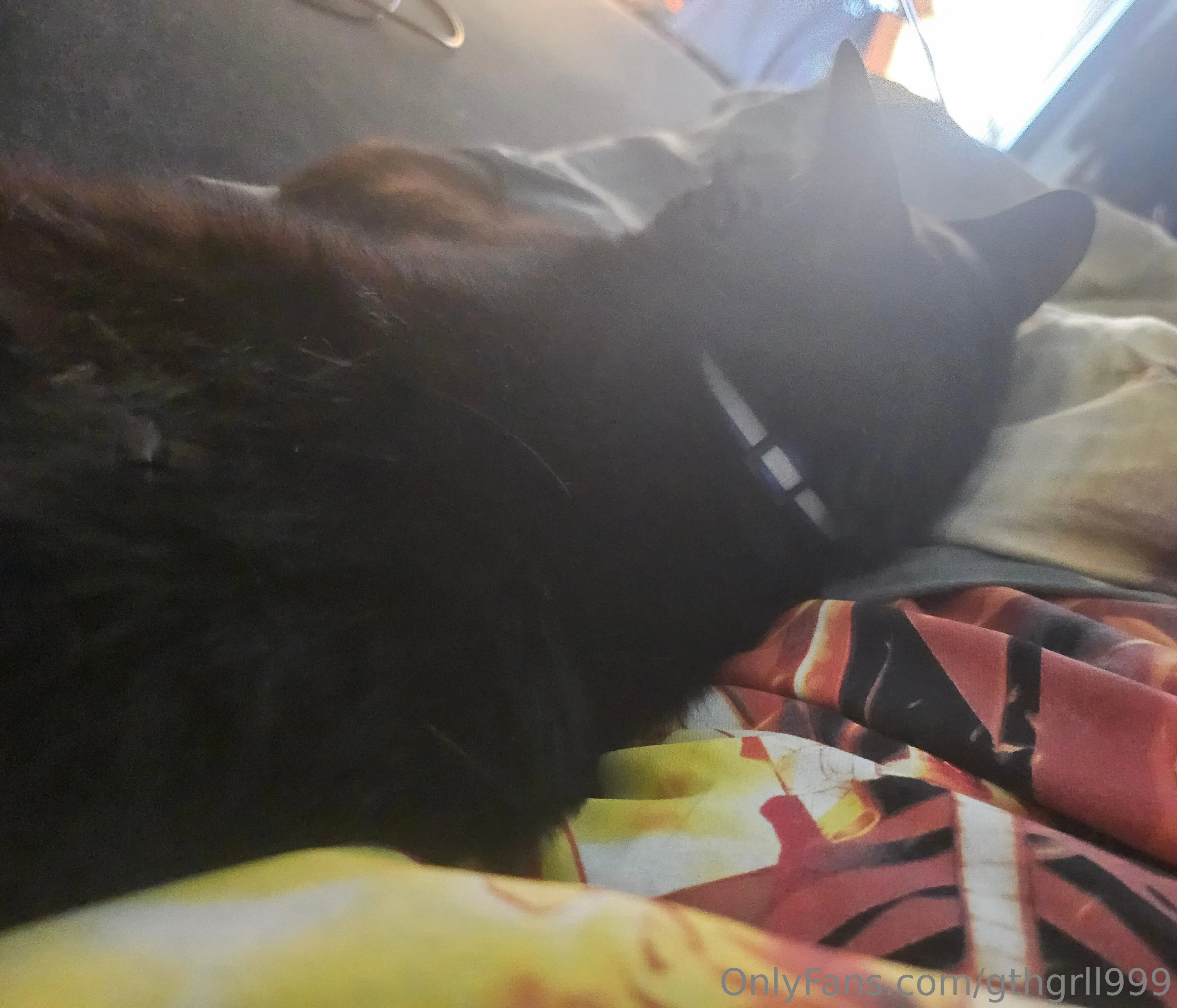 GthGrl99 OnlyFans exclusive photo 18 - gthgrll999 premium content