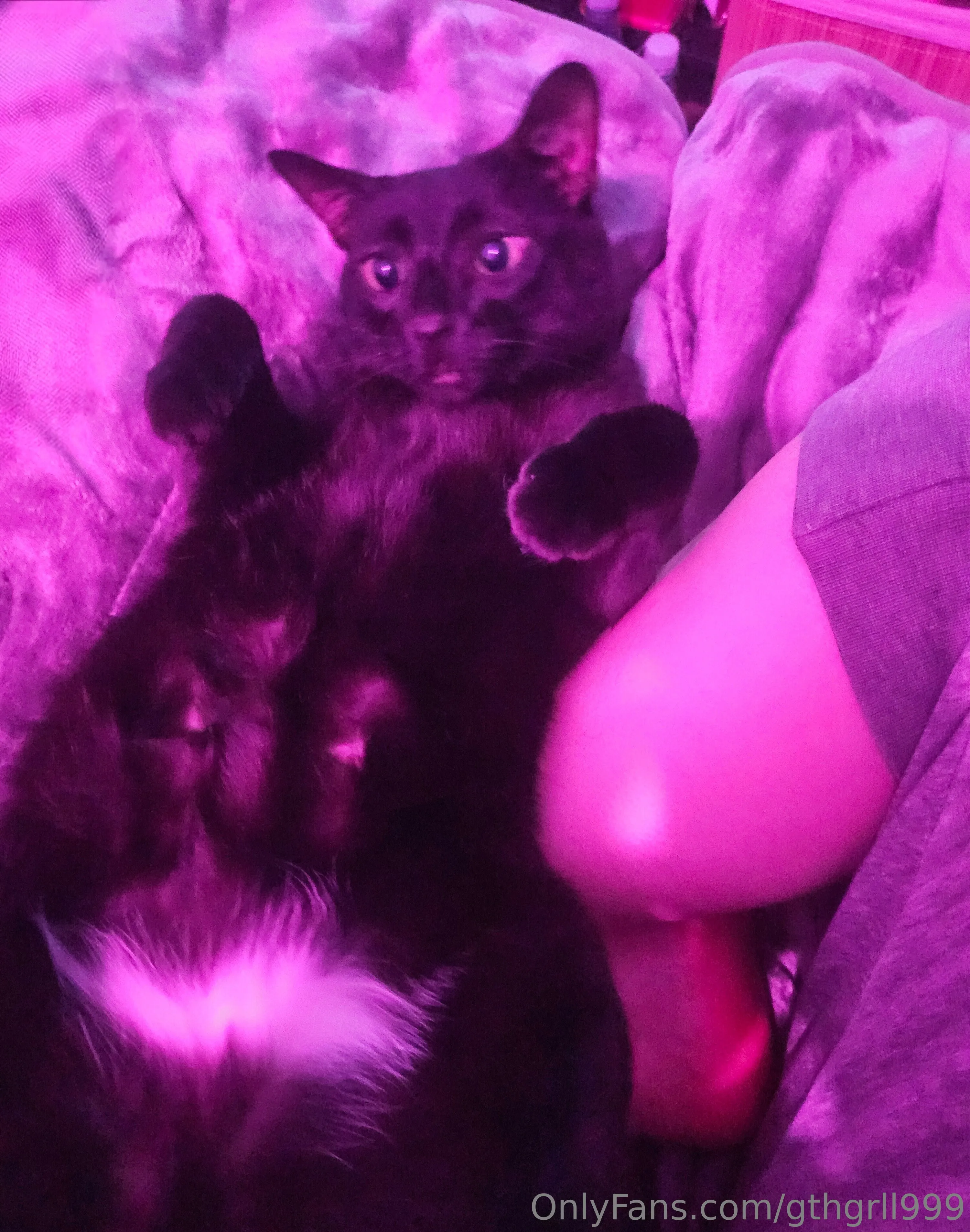 GthGrl99 OnlyFans exclusive photo 8 - gthgrll999 premium content
