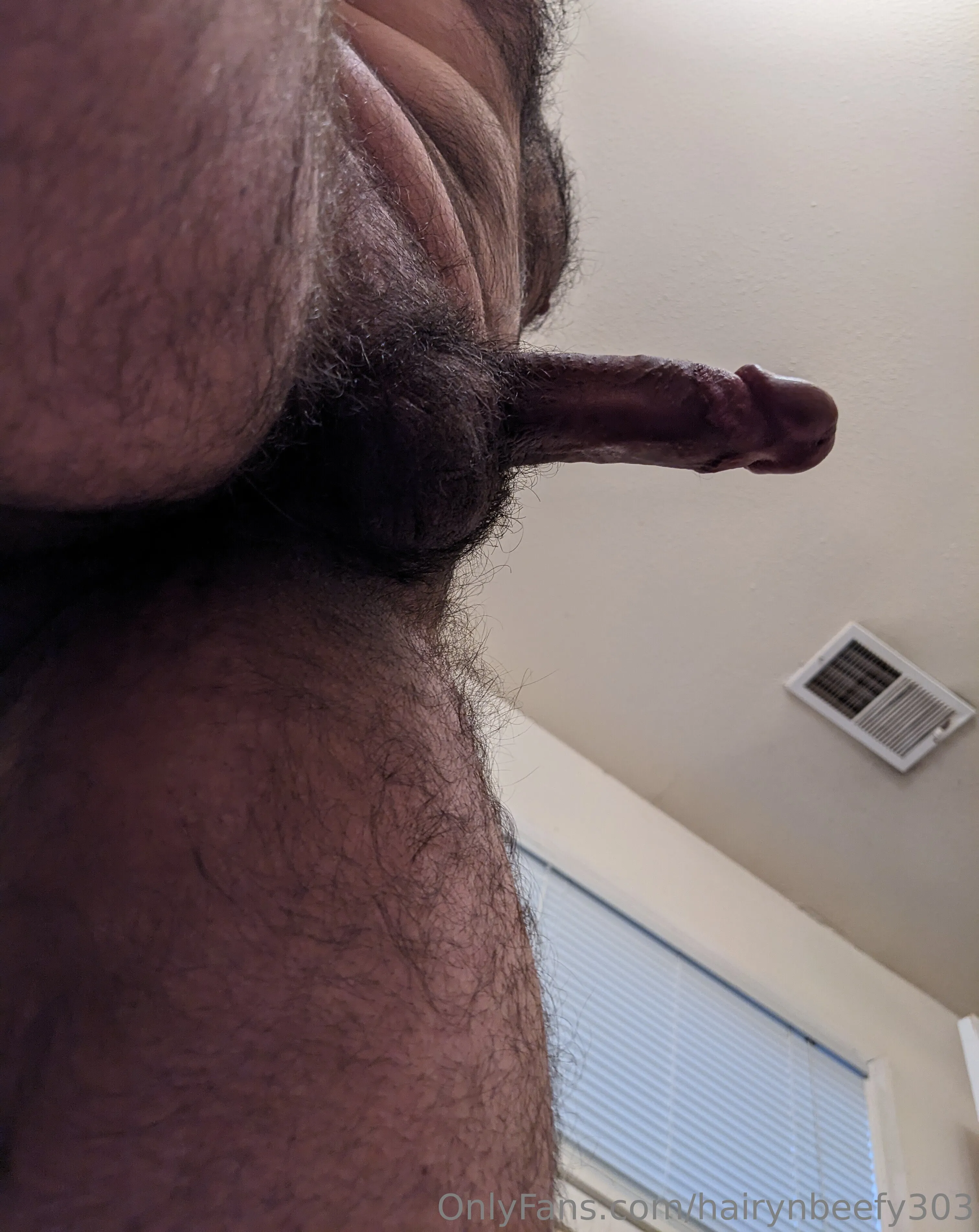 Hairy Beefy Himbo 🐻🐻 OnlyFans exclusive photo 13 - hairynbeefy303 premium content