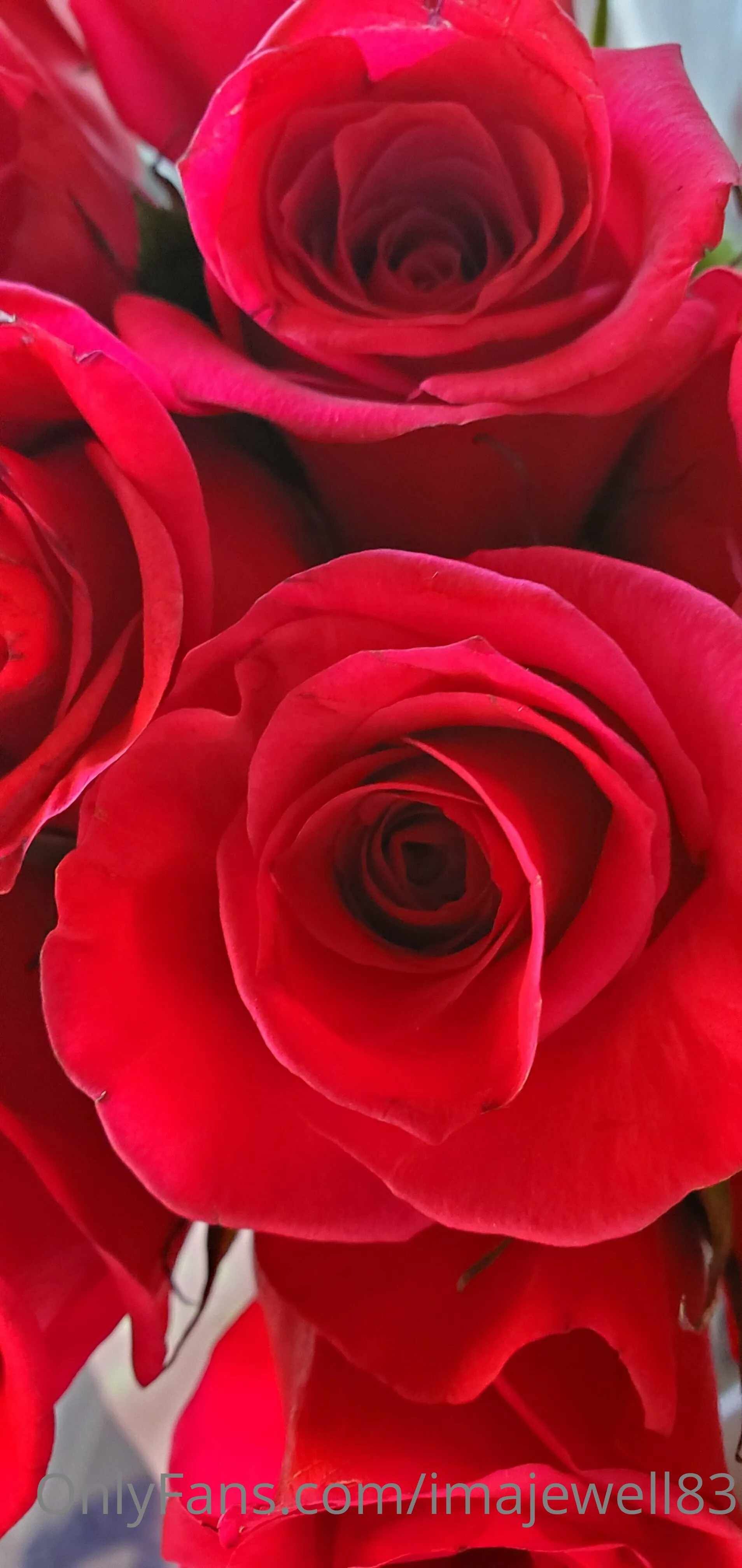 Ms. Jewell OnlyFans exclusive photo 8 - imajewell83 premium content