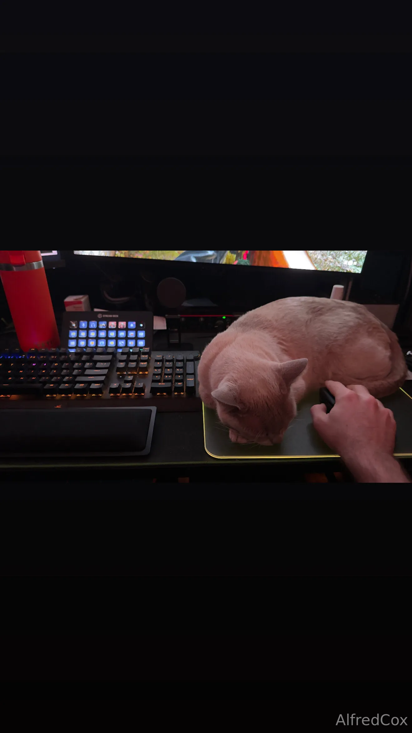 Alfred Cox OnlyFans exclusive photo 19 - alfredcox premium content