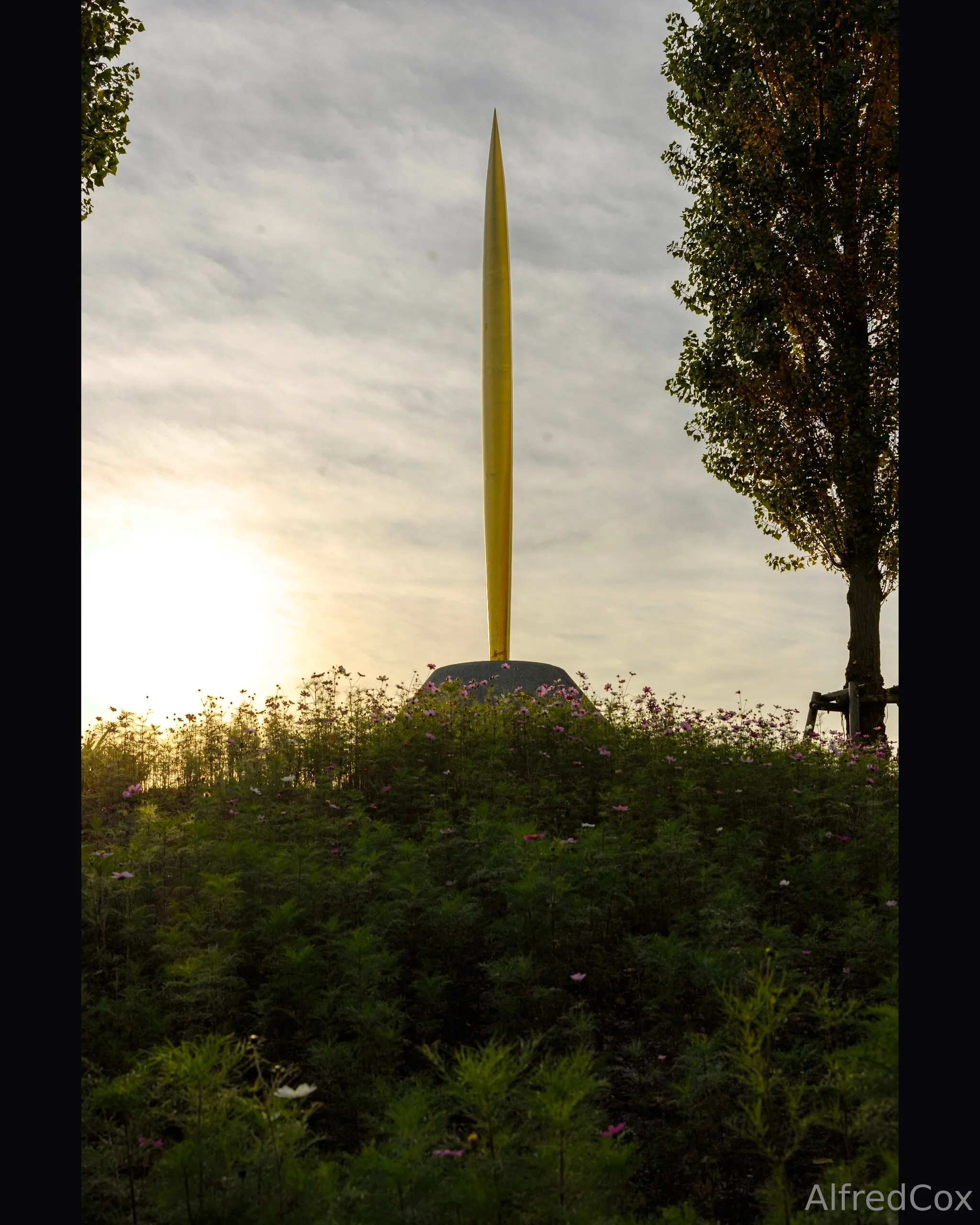 Alfred Cox OnlyFans exclusive photo 10 - alfredcox premium content