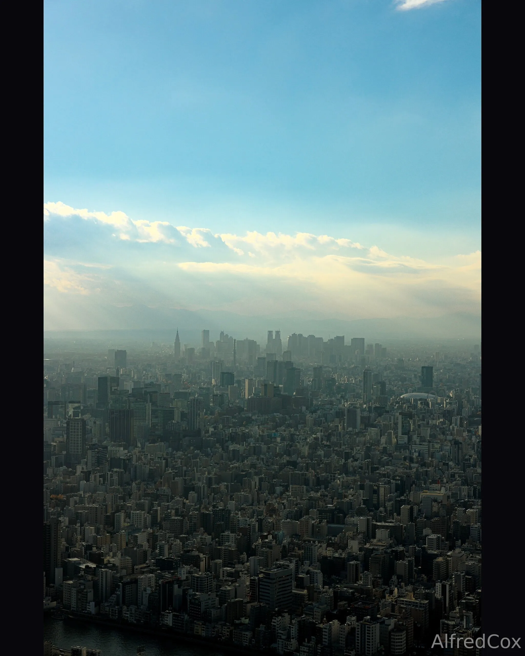 Alfred Cox OnlyFans exclusive photo 7 - alfredcox premium content