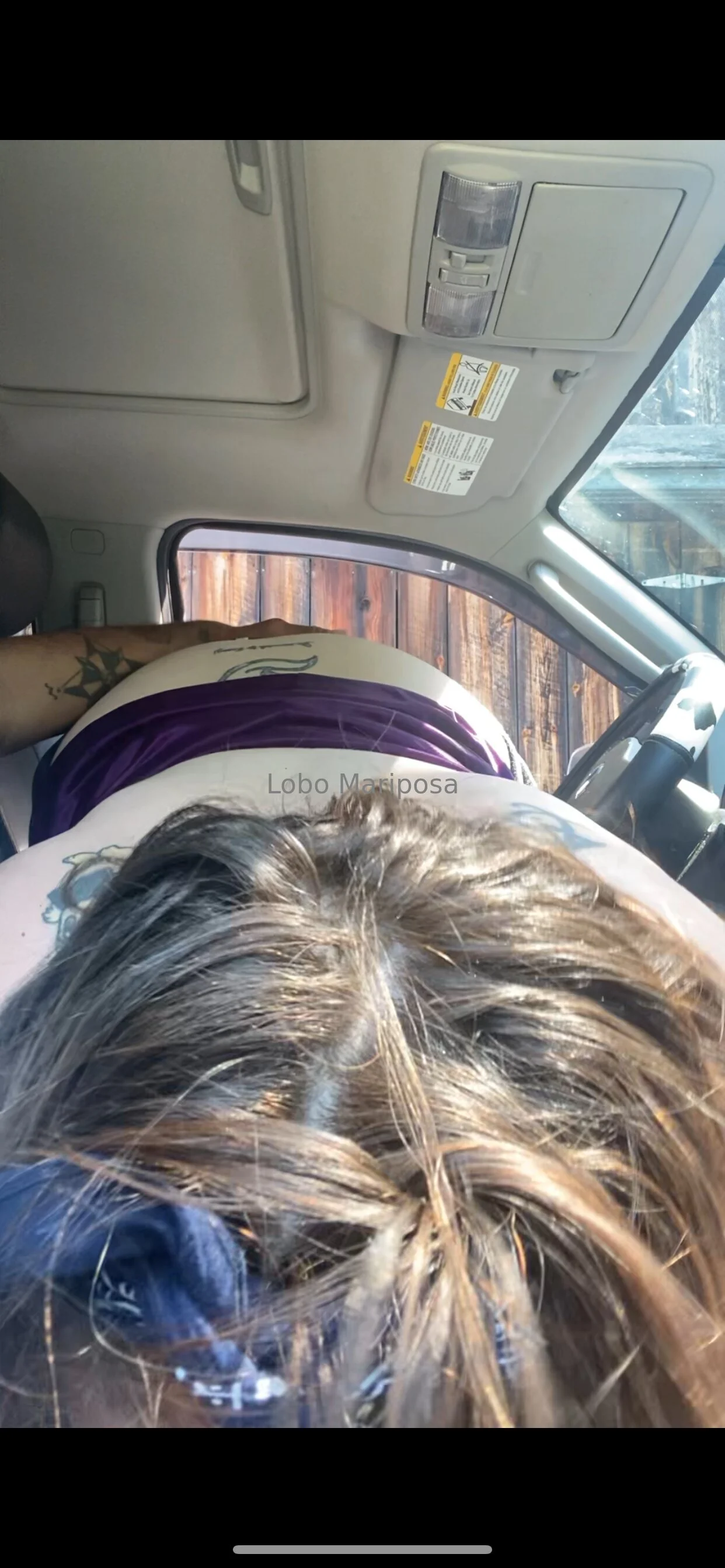 Lobo Mariposa OnlyFans exclusive photo 1 - arlmangel premium content