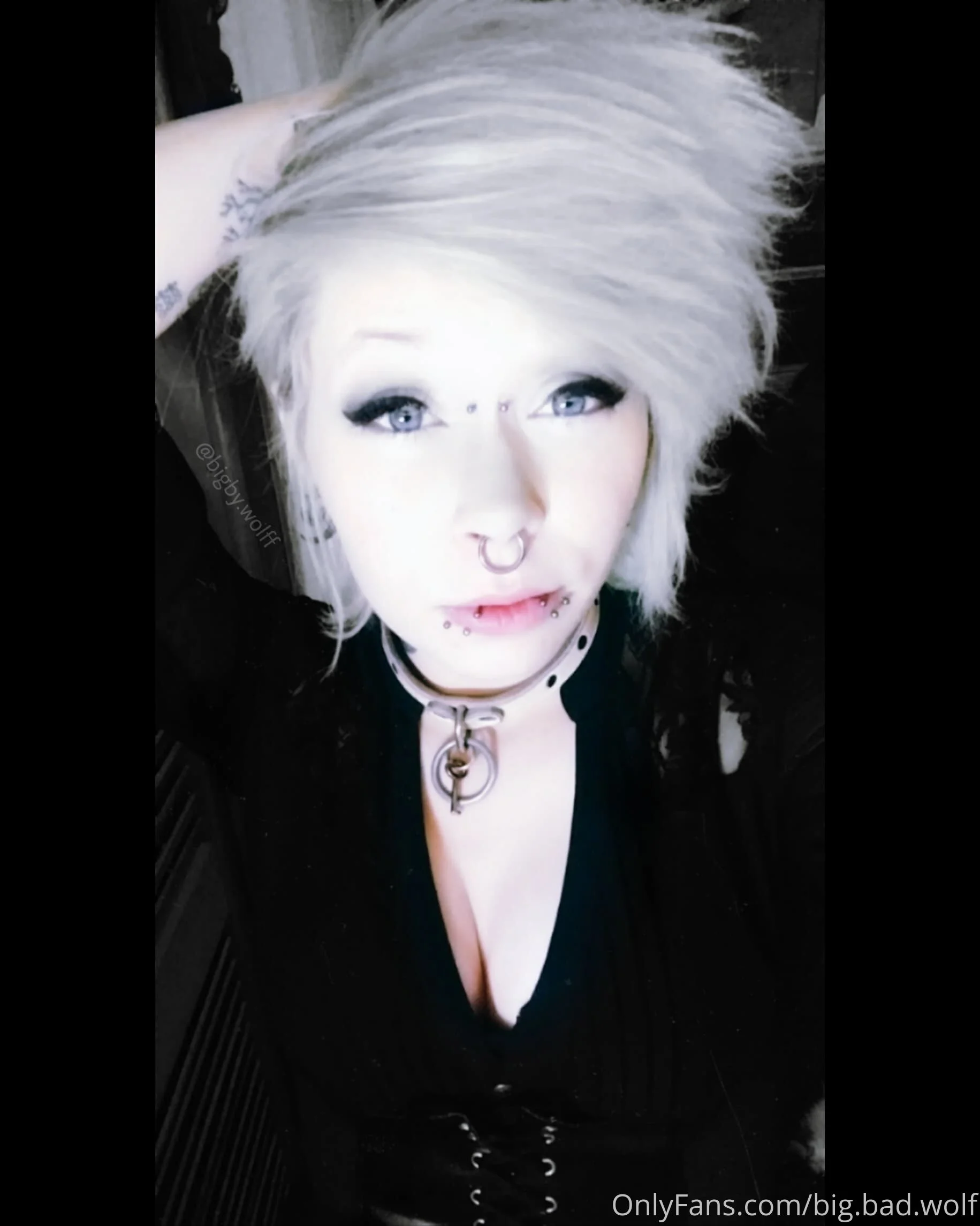 🐺Big Bad Wolf🐺 OnlyFans exclusive photo 13 - big.bad.wolf premium content