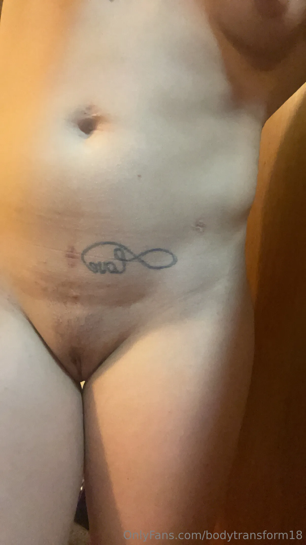 Bodytransform OnlyFans exclusive photo 4 - bodytransform18 premium content