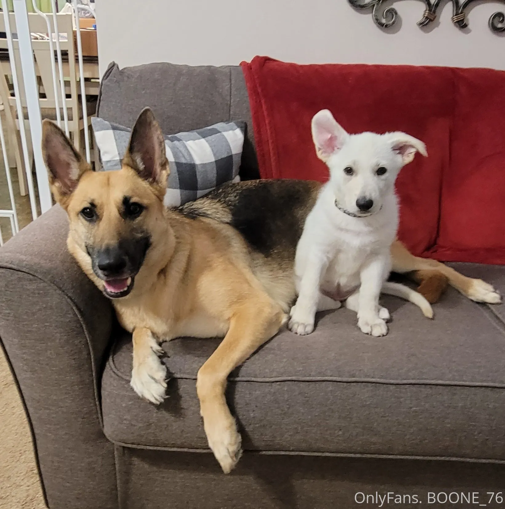 Barry (aka-Boone76) OnlyFans exclusive photo 6 - boone76 premium content