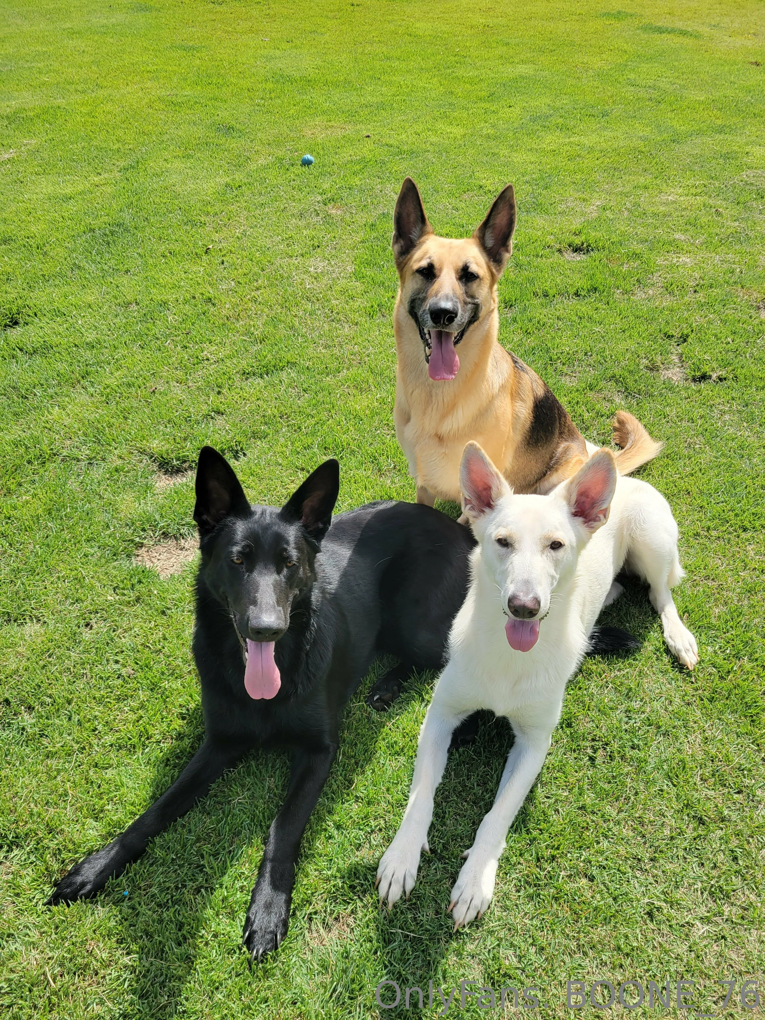 Barry (aka-Boone76) OnlyFans exclusive photo 3 - boone76 premium content