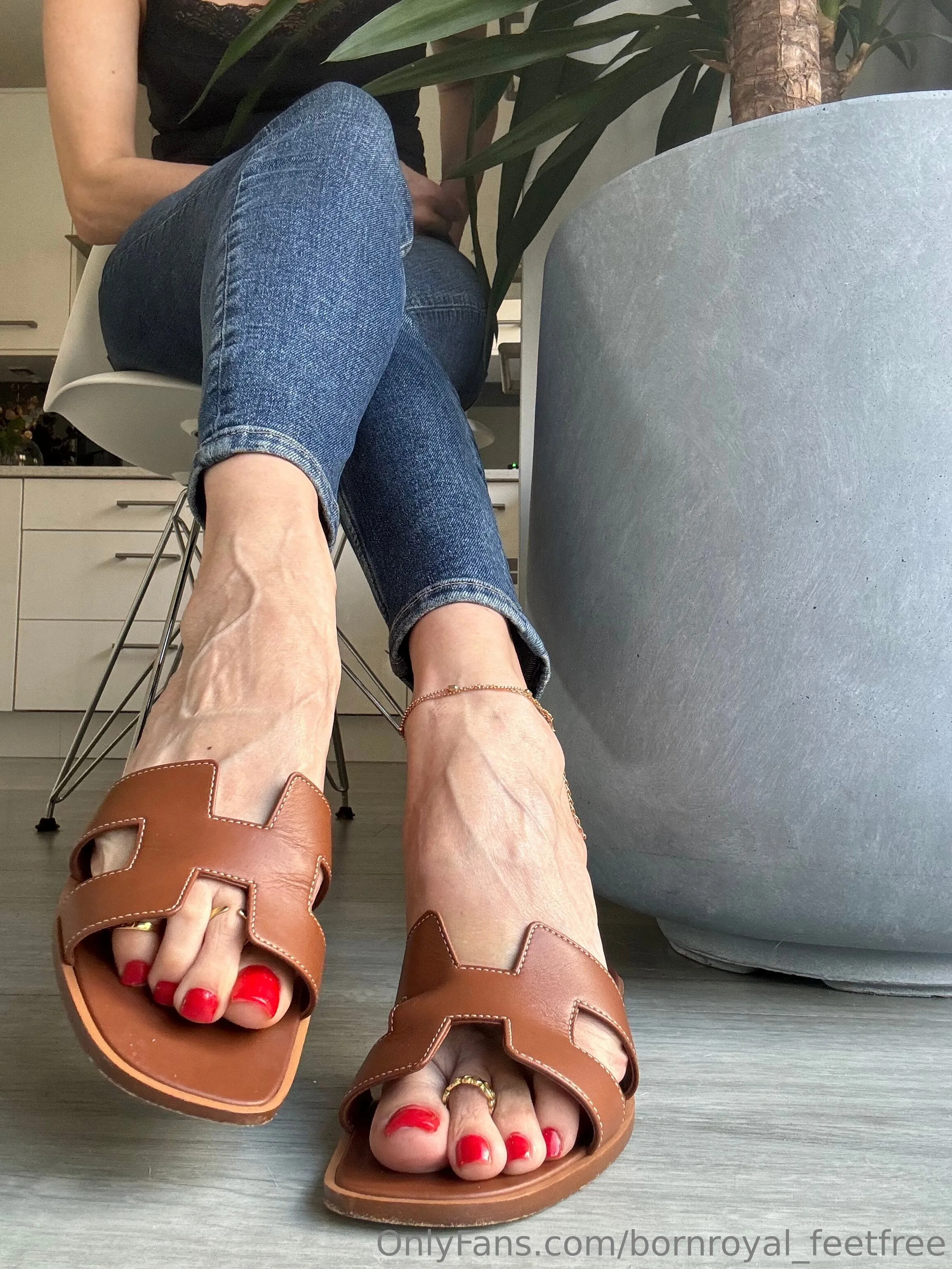 bornroyal_feetfree OnlyFans exclusive photo 13 - bornroyal_feetfree premium content