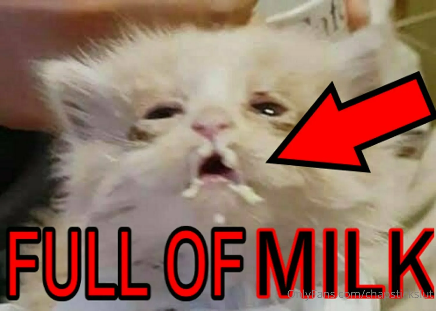 Chapstick Slut:) OnlyFans exclusive photo 16 - chapstickslut premium content