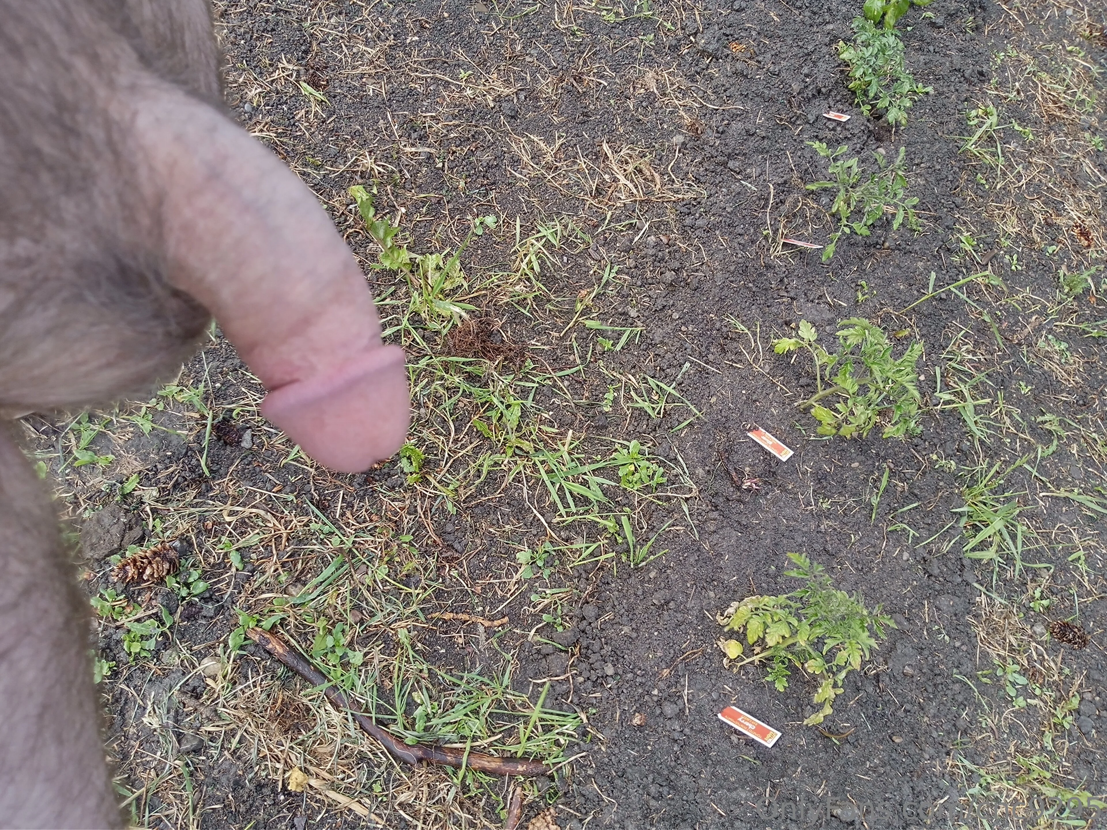 CNC OnlyFans exclusive photo 3 - cnc9295 premium content