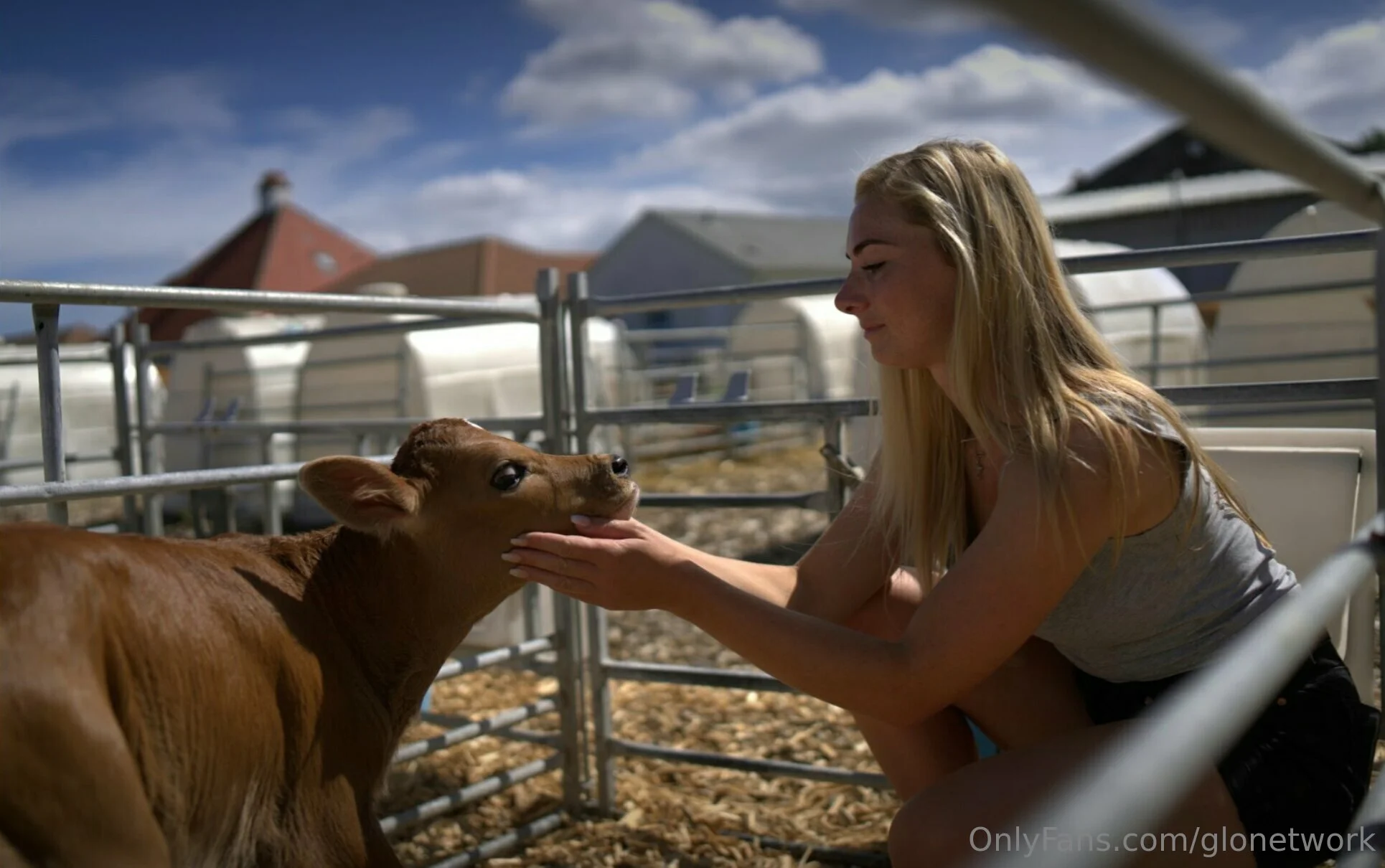 Glo Network OnlyFans exclusive photo 17 - glonetwork premium content