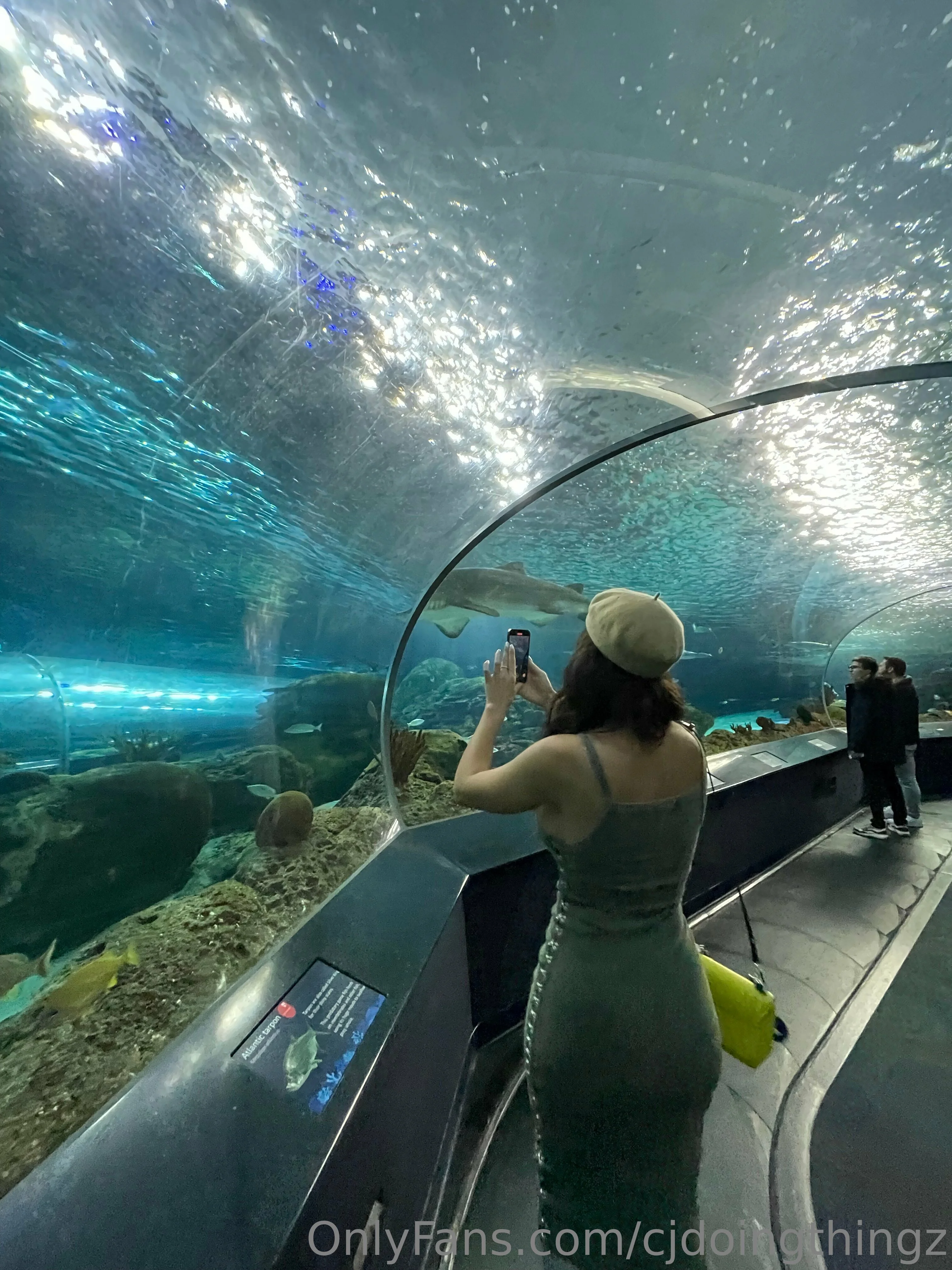 Inside OnlyFans Podcast OnlyFans exclusive photo 10 - insideonlyfanspod premium content