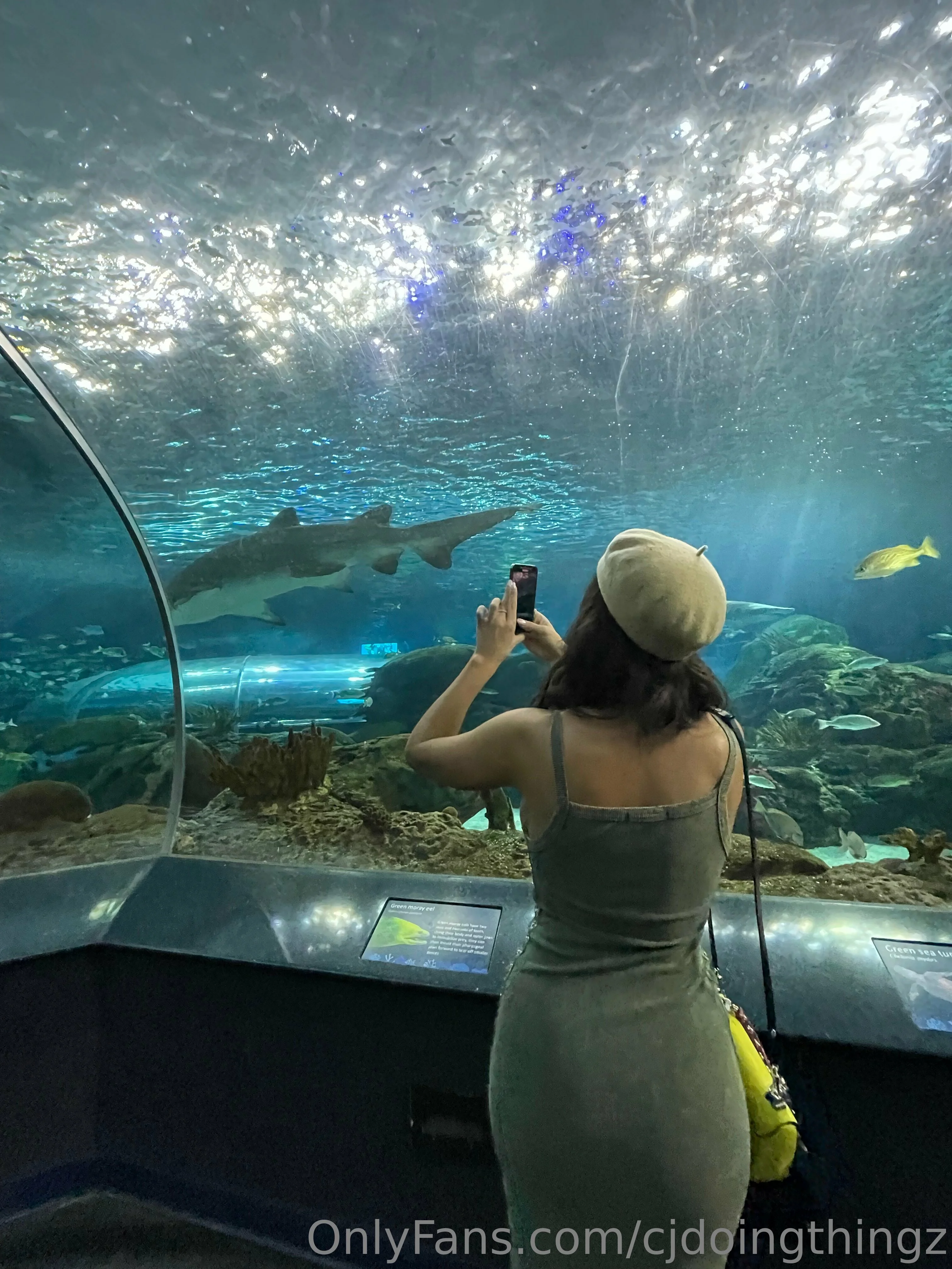 Inside OnlyFans Podcast OnlyFans exclusive photo 9 - insideonlyfanspod premium content