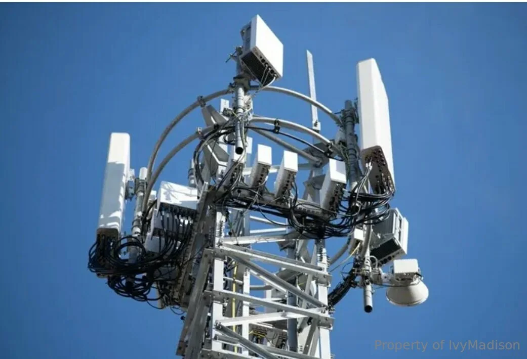 IvyMadison OnlyFans exclusive photo 5 - ivymadisonfl premium content