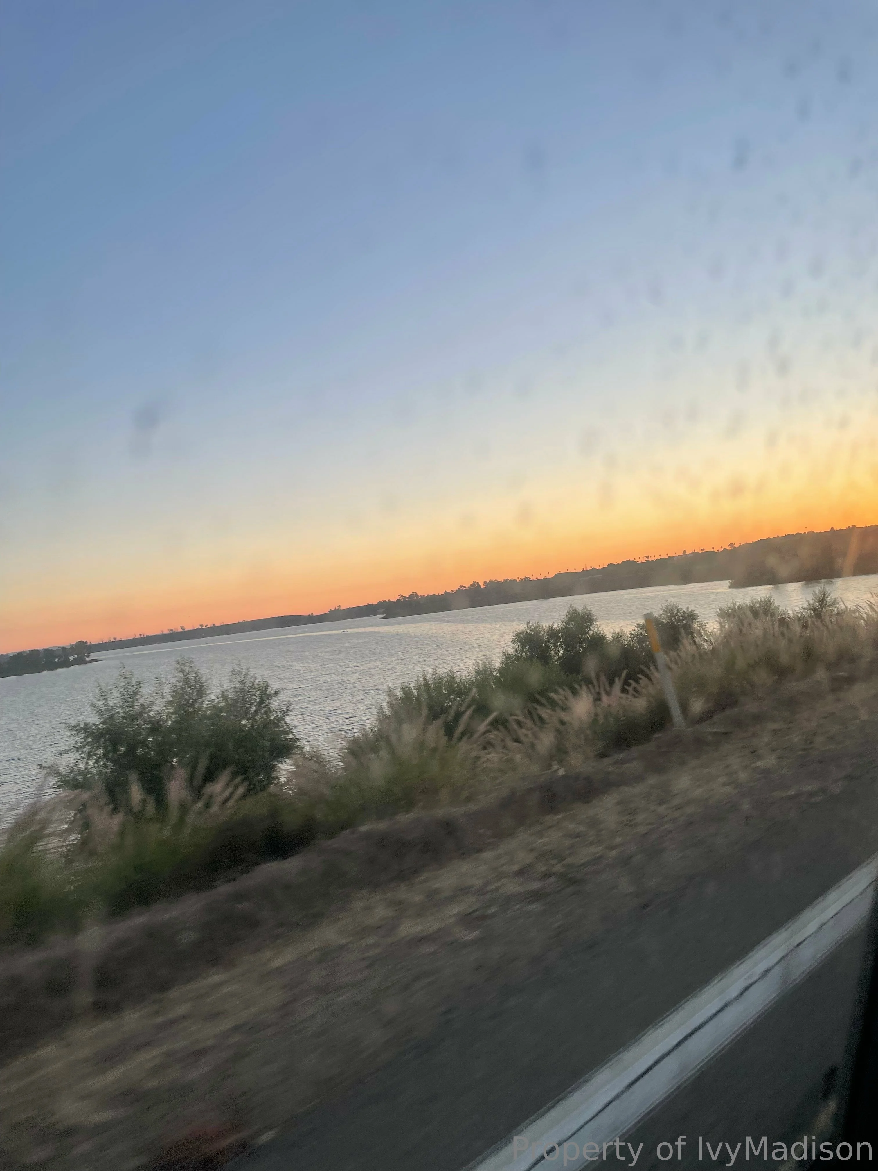 IvyMadison OnlyFans exclusive photo 4 - ivymadisonfl premium content