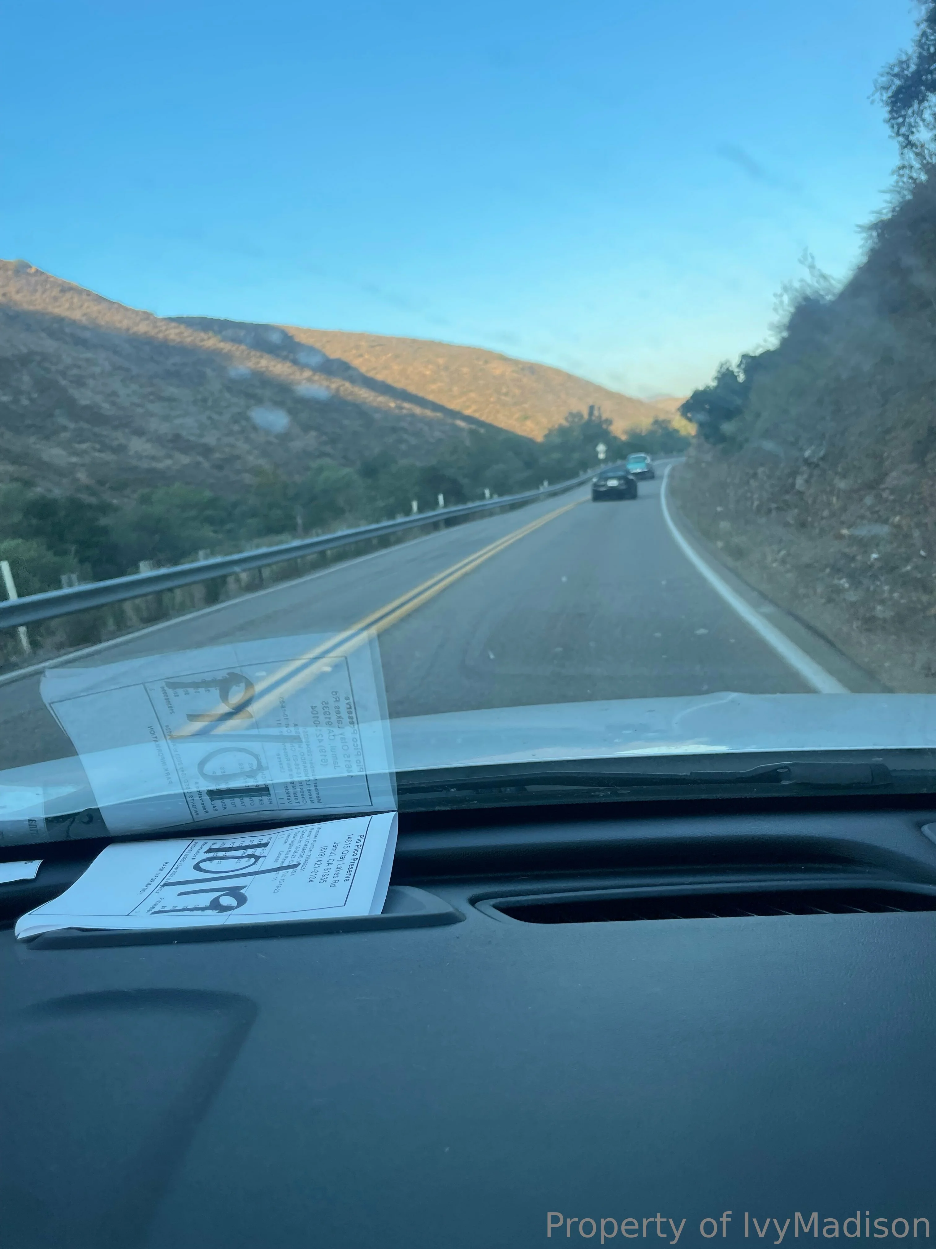 IvyMadison OnlyFans exclusive photo 3 - ivymadisonfl premium content