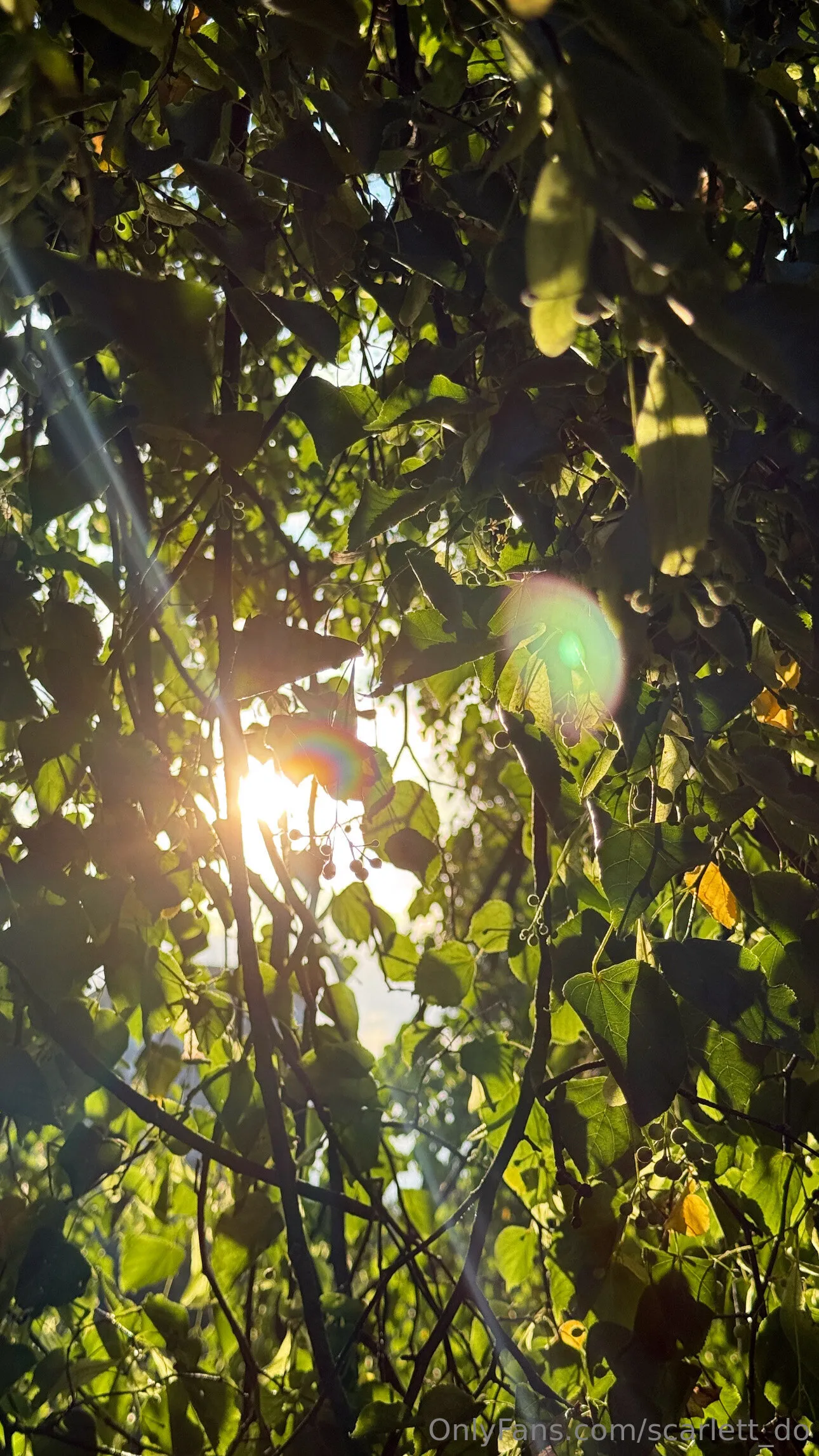 Scarlett 😉 OnlyFans exclusive photo 2 - scarlett_do premium content