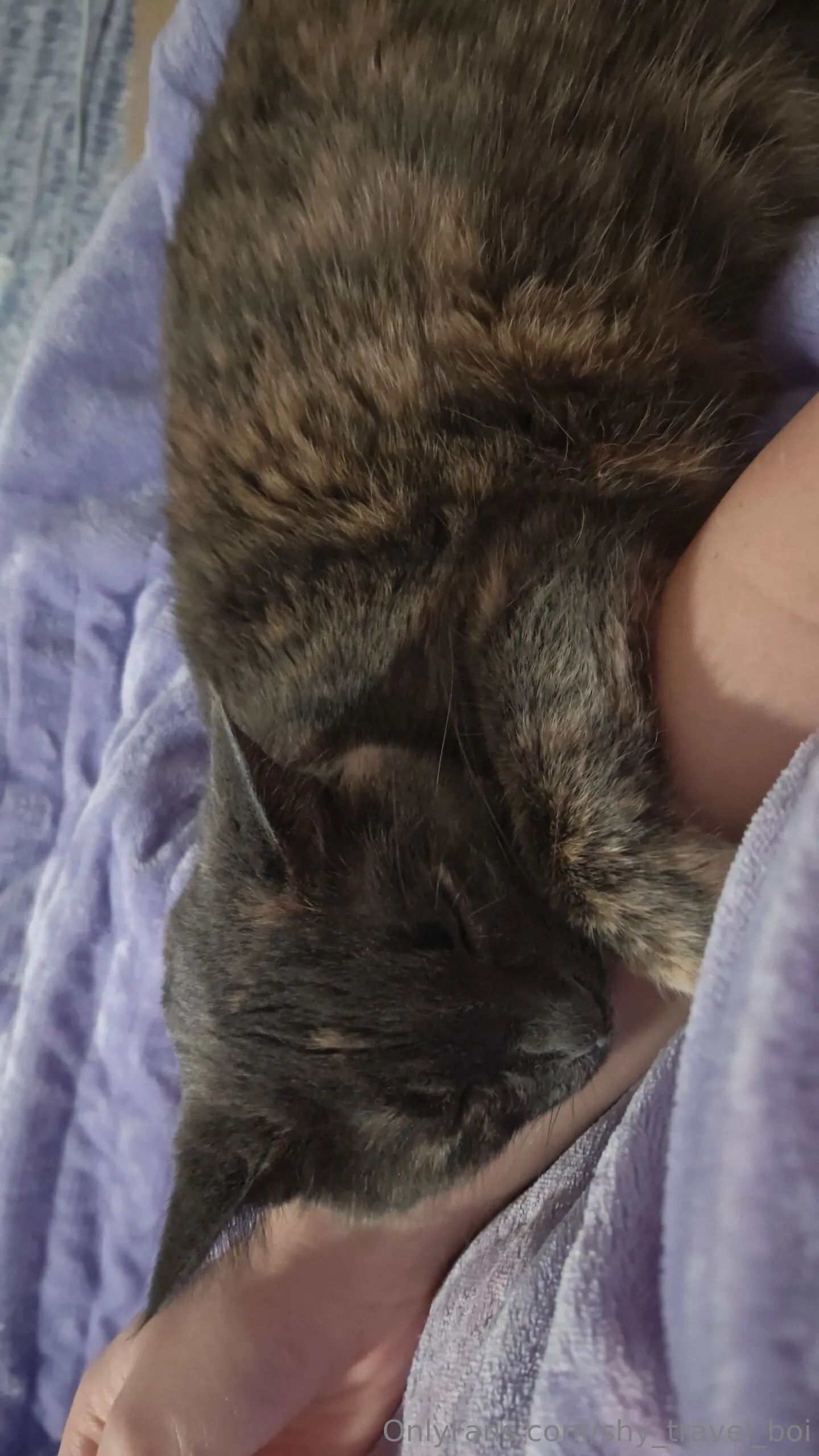 Shytrapboi OnlyFans exclusive photo 1 - shy_travel_boi premium content