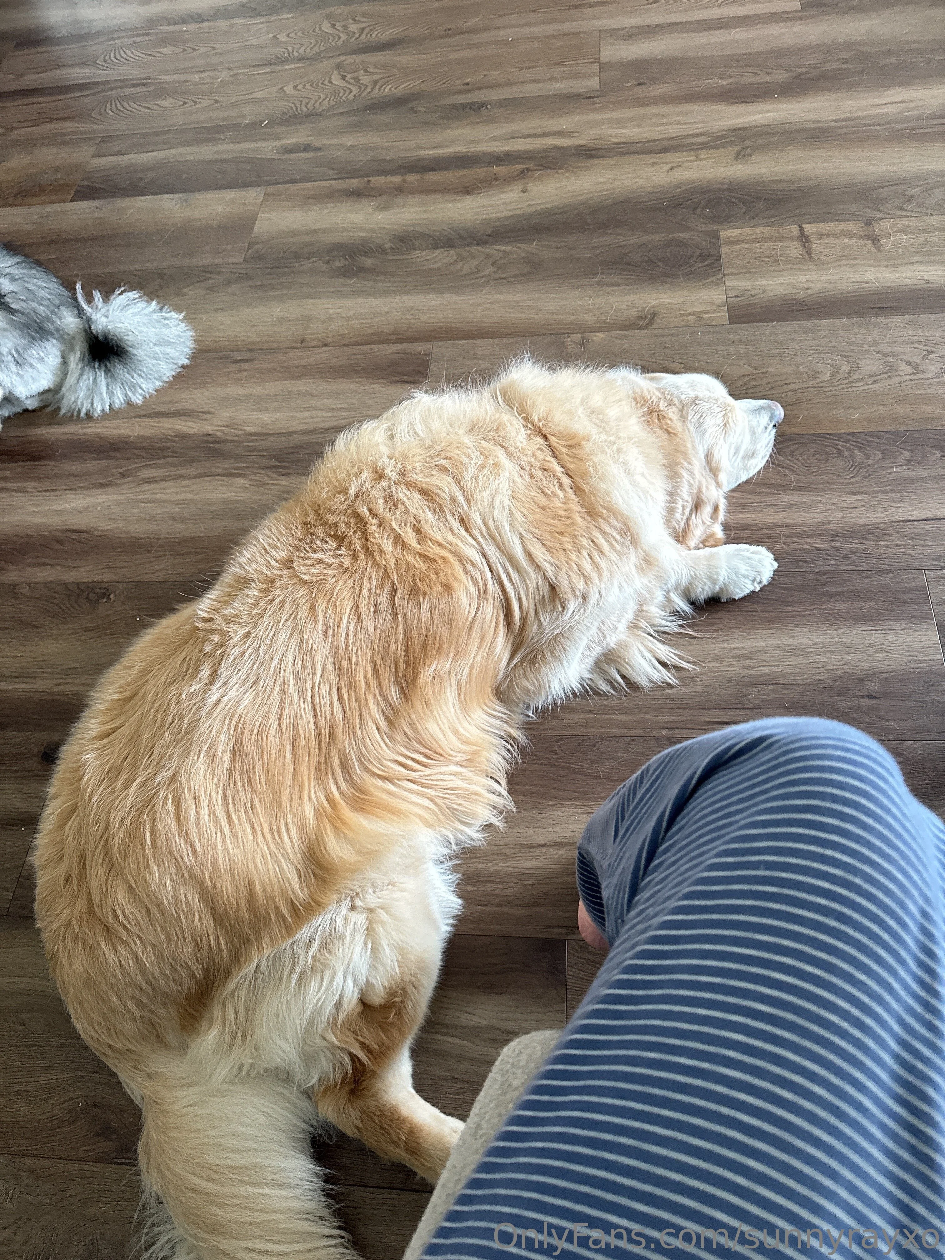 Sunny ray OnlyFans exclusive photo 14 - sunnyrayxo premium content