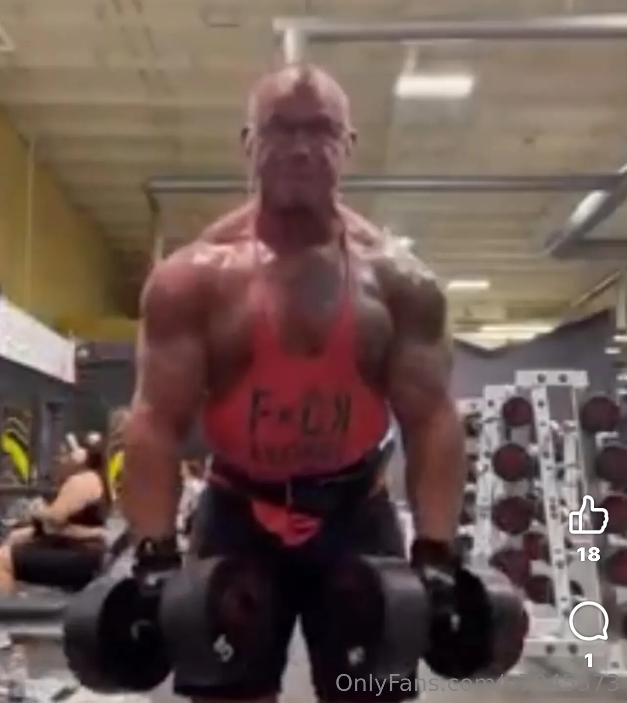 DONOHUGE OnlyFans exclusive photo 13 - u7945573 premium content