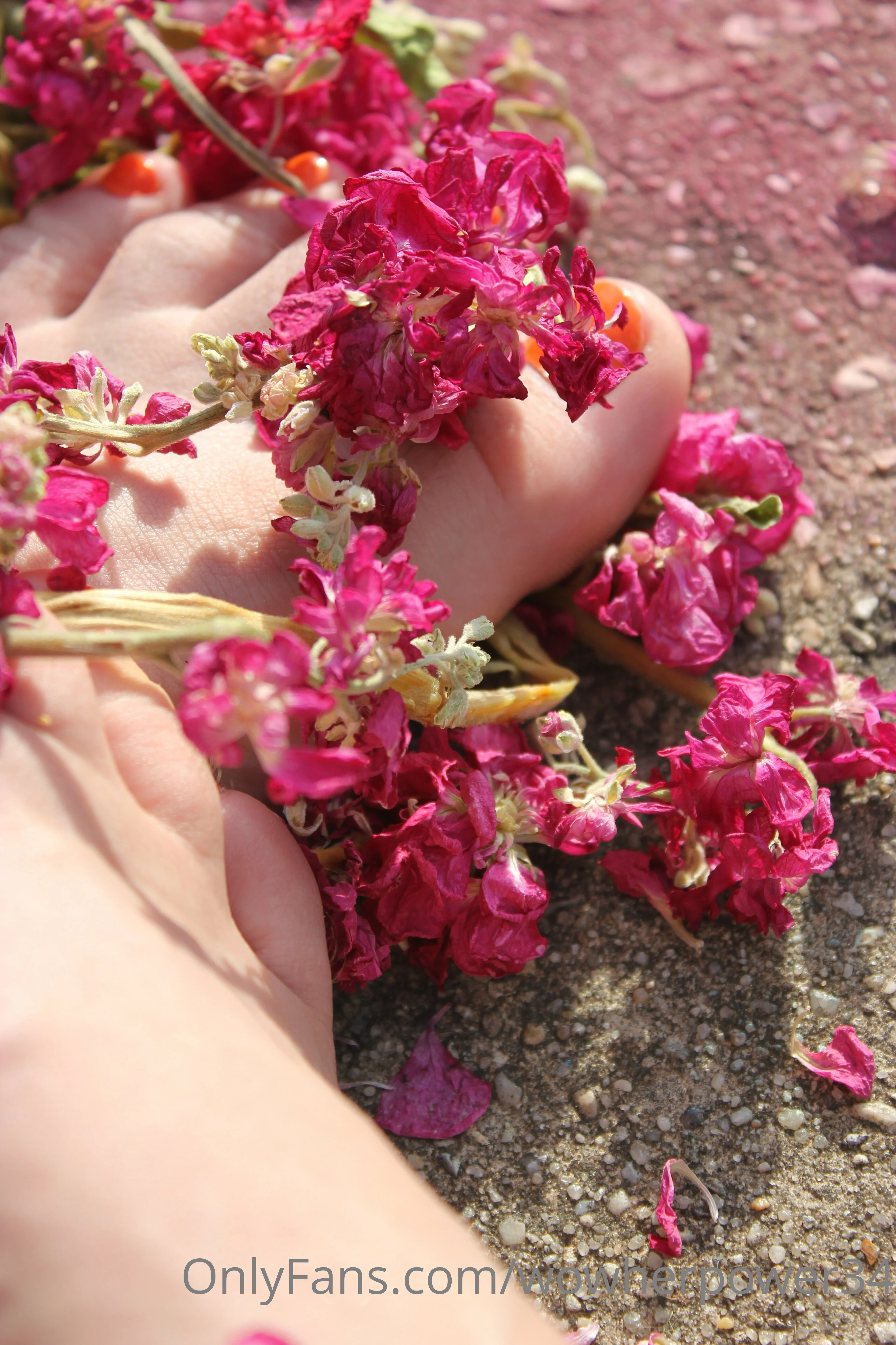 Madame Power OnlyFans exclusive photo 22 - wowherpower34 premium content