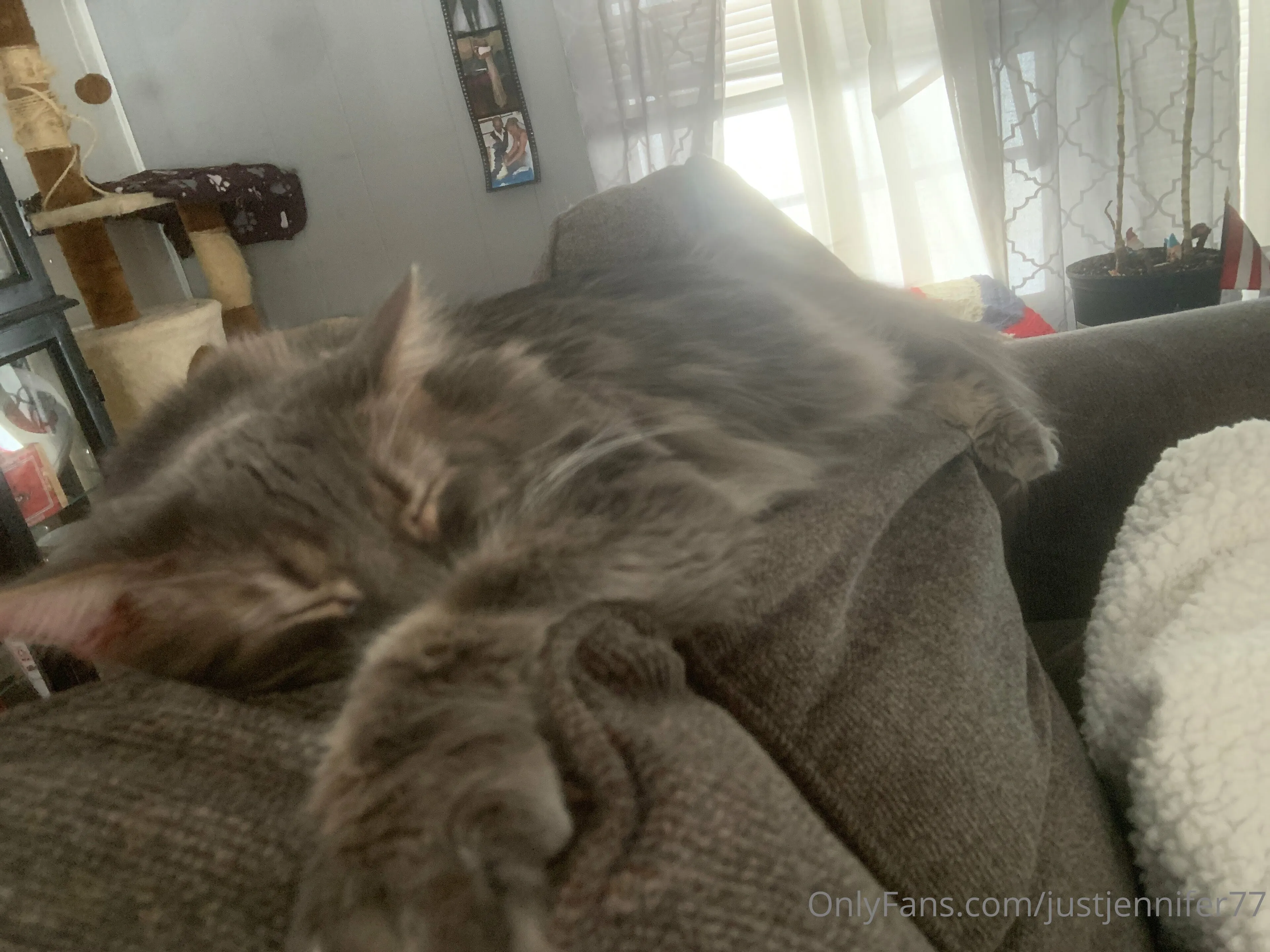 Justjennifer77 OnlyFans exclusive photo 1 - justjennifer77 premium content