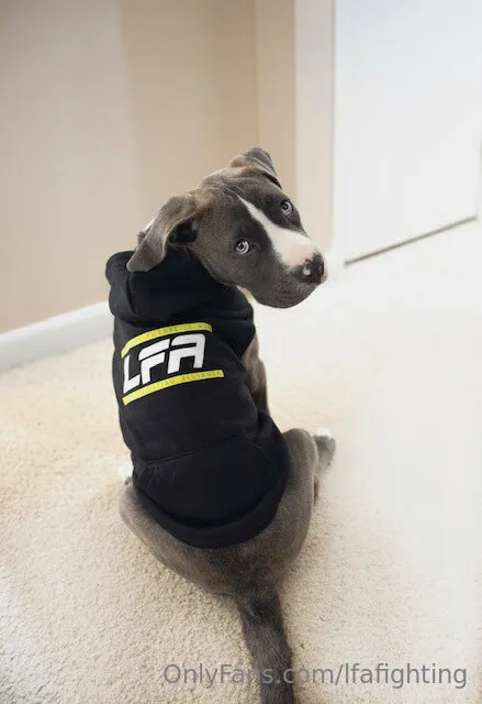 LFA OnlyFans exclusive photo 8 - lfafighting premium content