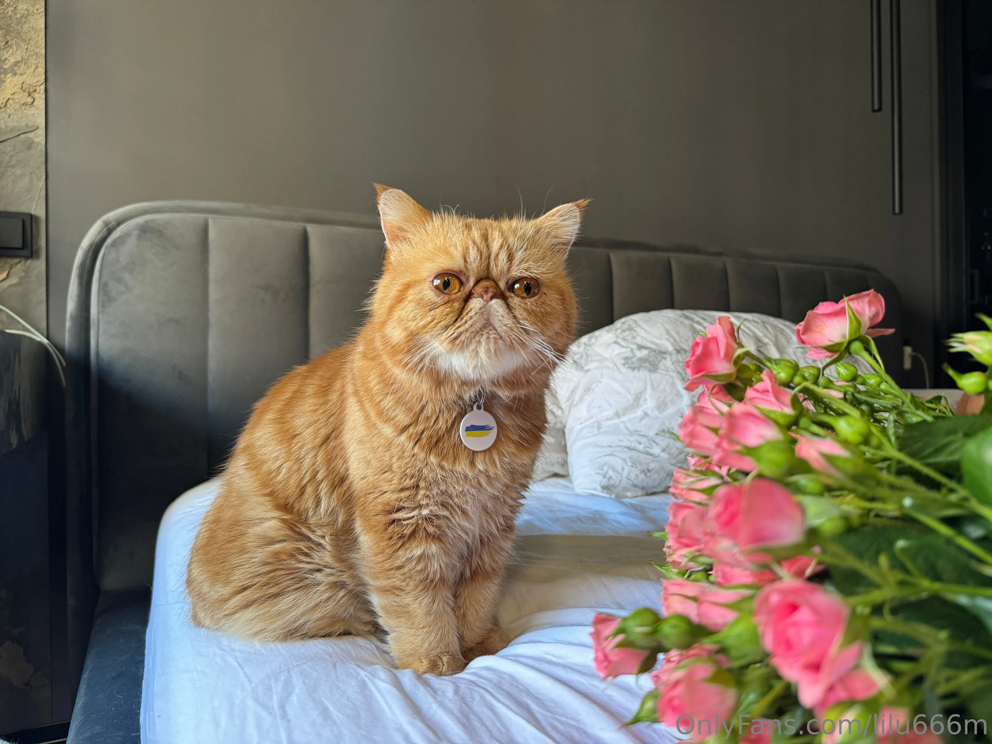 Lilu Miller OnlyFans exclusive photo 20 - lilu666m premium content