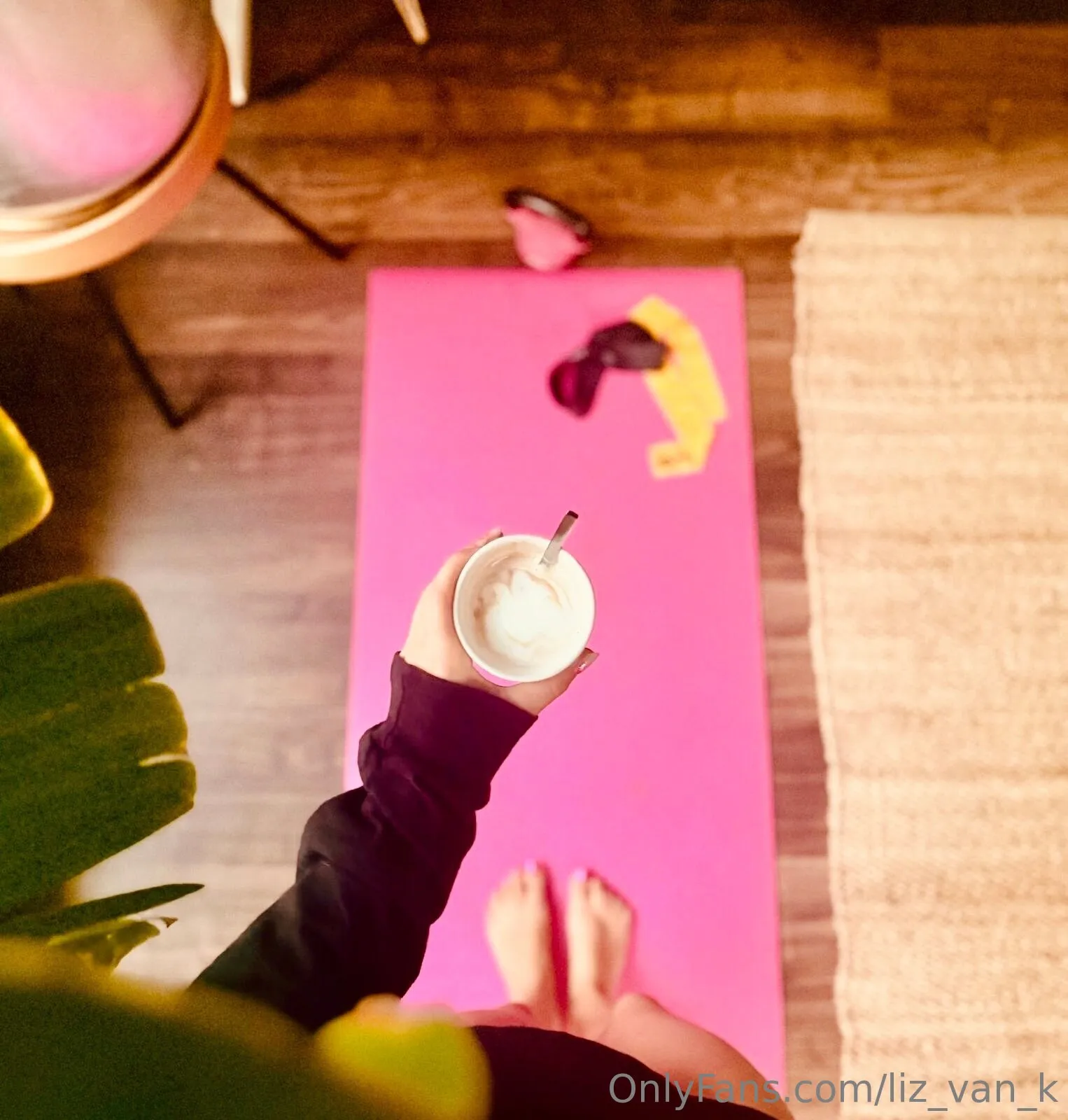 Liz_van_K OnlyFans exclusive photo 4 - liz_van_k premium content