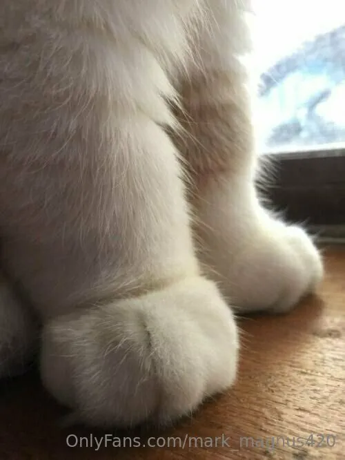 Magnus420 OnlyFans exclusive photo 7 - mark_magnus420 premium content