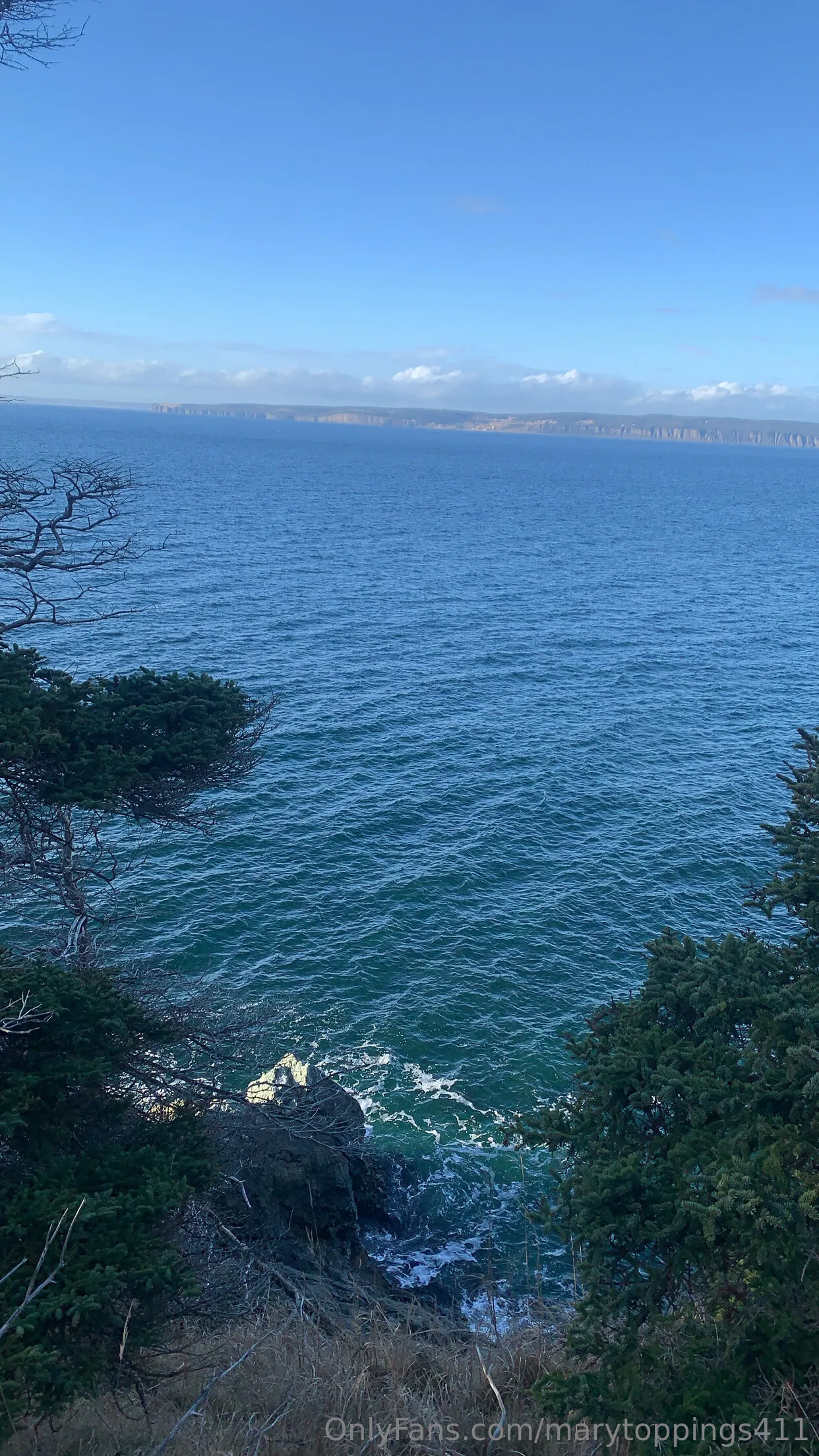 Mary Toppings OnlyFans exclusive photo 5 - marytoppings411 premium content