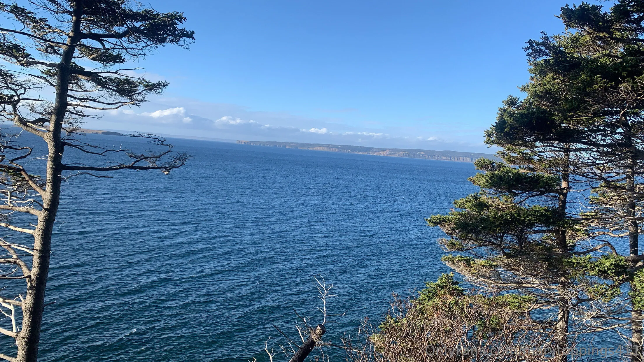 Mary Toppings OnlyFans exclusive photo 4 - marytoppings411 premium content