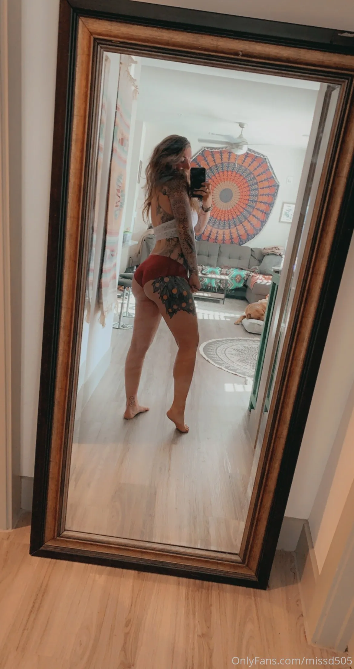 MissD OnlyFans exclusive photo 3 - missd505 premium content